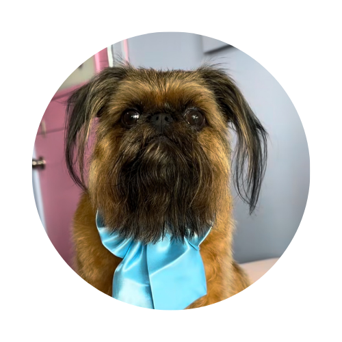 Client Highlight: Chucky