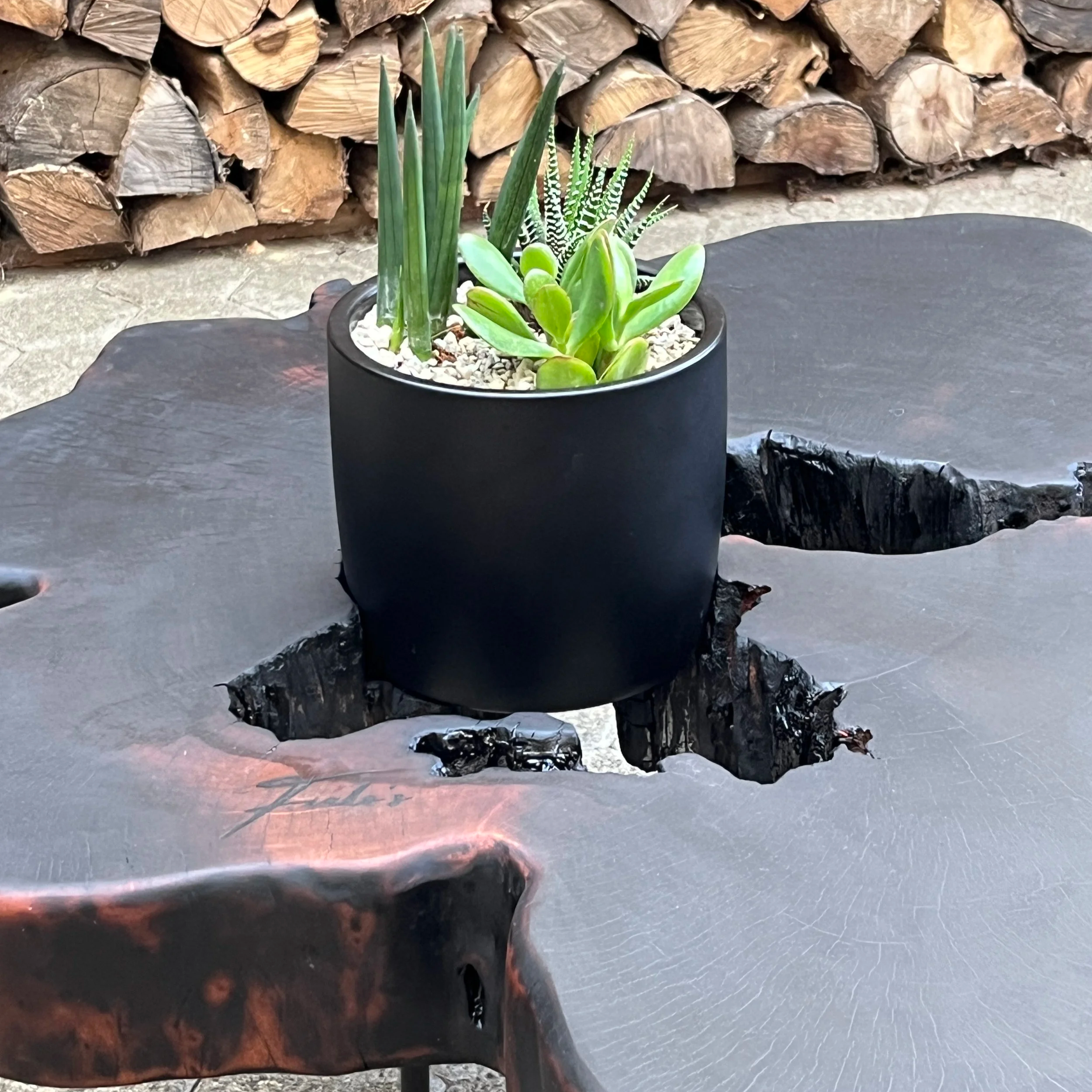 Detailaufnahme eine Massivholz Couchtisches mit dunkler Oberfläche und kleinen Pflanzentopf integriert - handgefertigtes Einzelstück von Fiako Designs