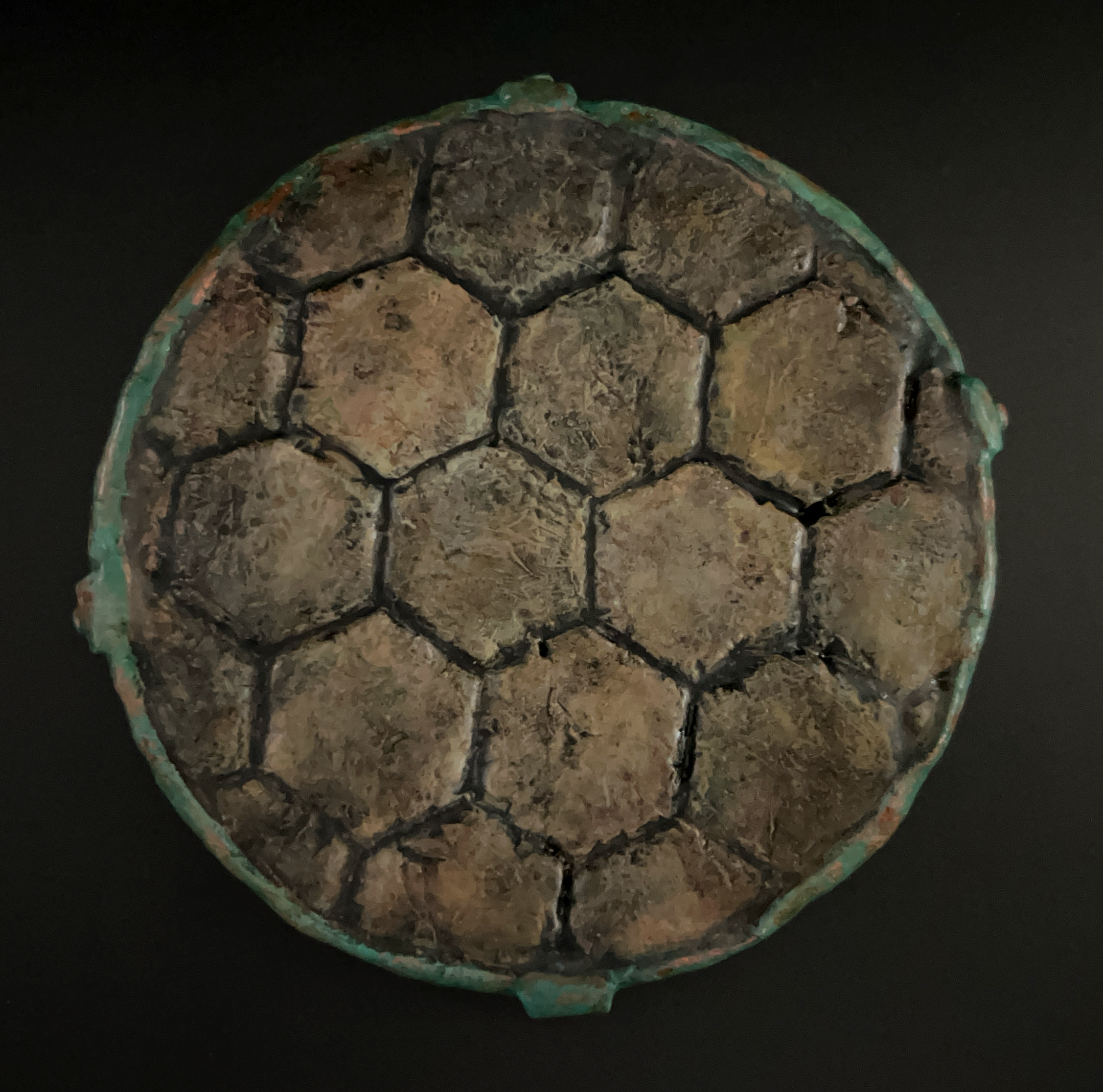 Close-up of a turtle shell with a tiled pattern, showing a weathered surface and dark lines separating the segments, against a black background.