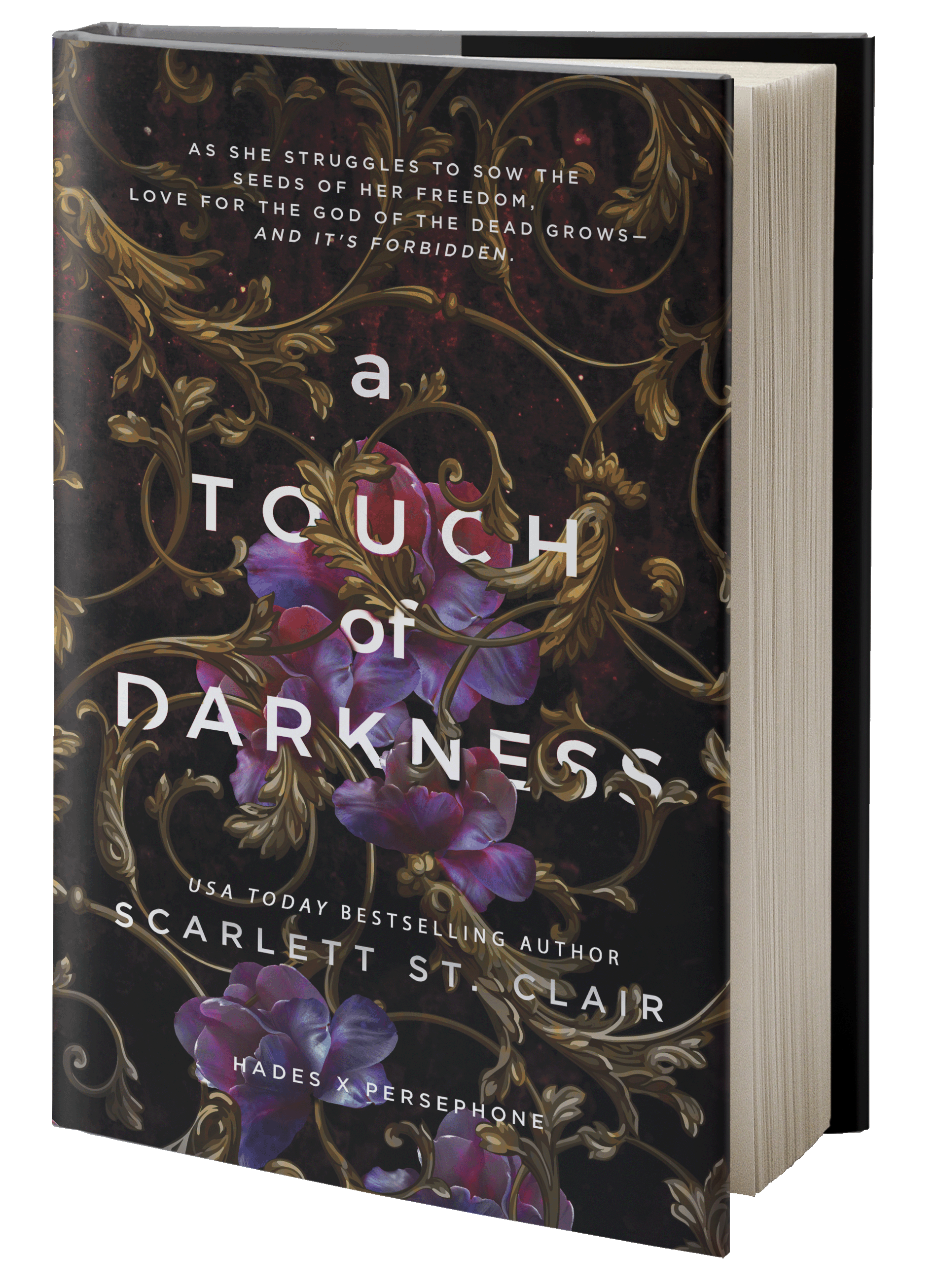 book-a-touch-of-darkness.png