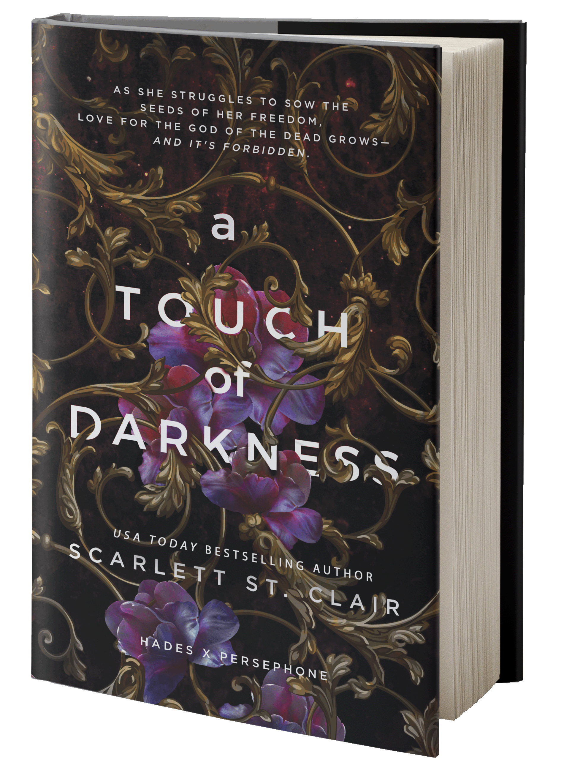 book-a-touch-of-darkness.png