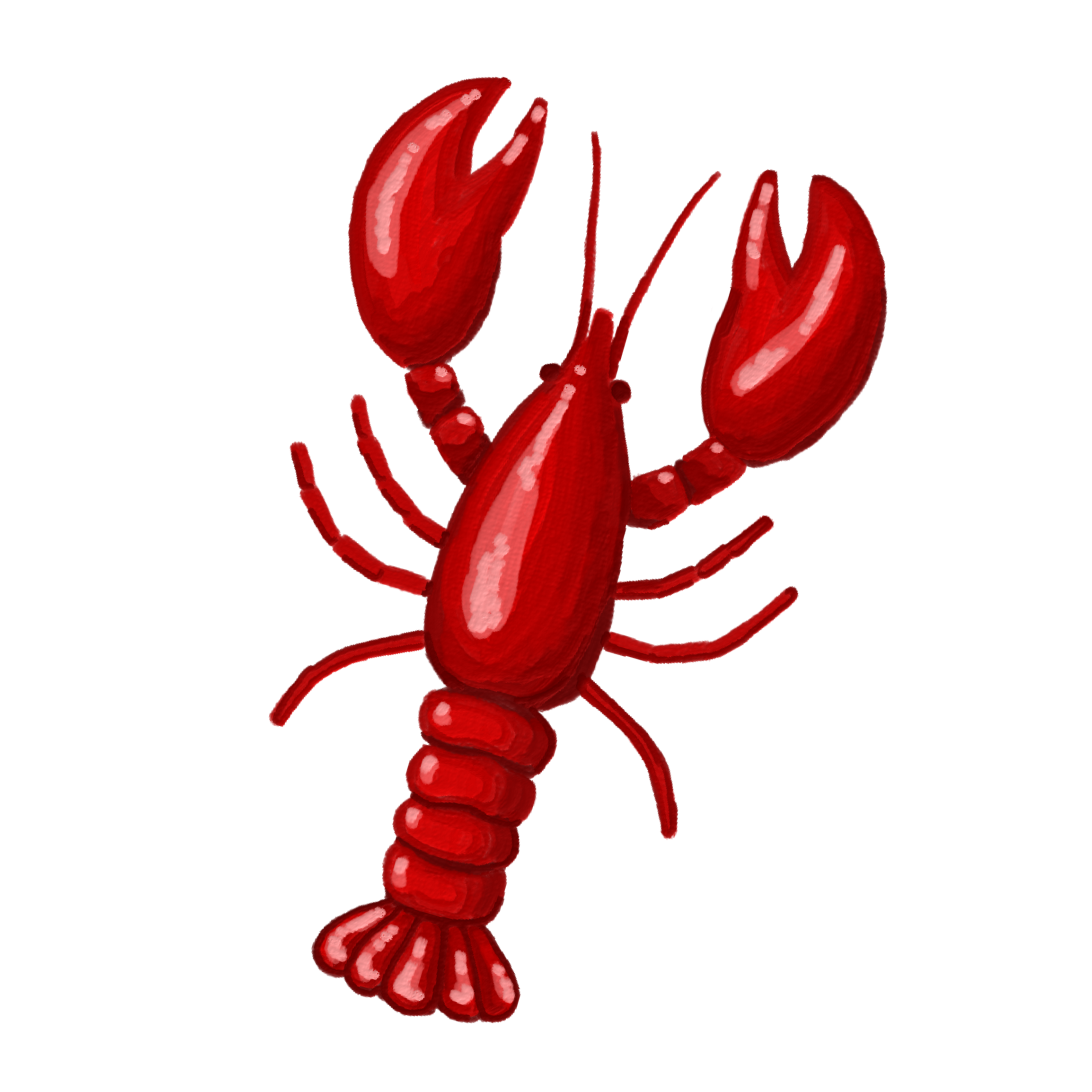 1A8FEB4F-B5B2-4293-B986-40FE3644455D.png