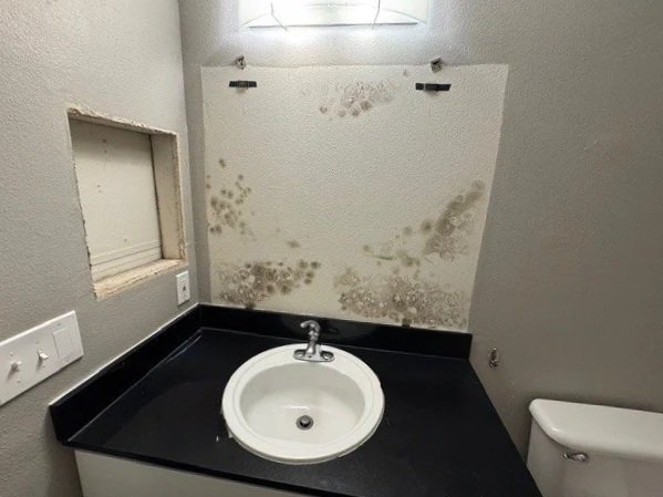 A bathroom vanity with a black countertop, a white sink, and a moldy wall behind it.