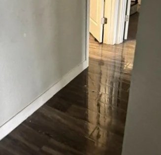View of a shiny hardwood floor inside a home, with a hallway and partially open doorway in the background.