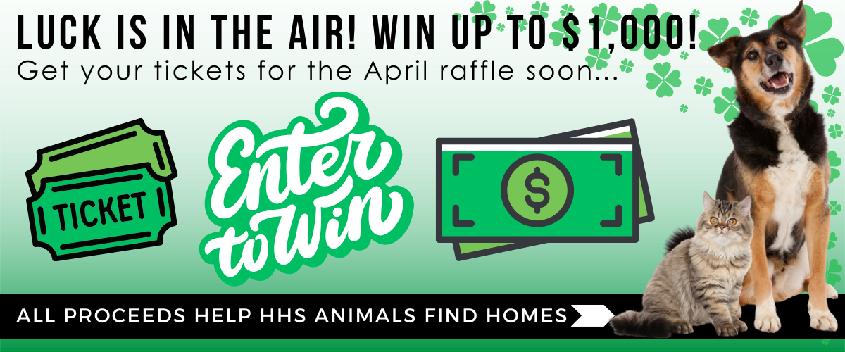 Promotional graphic for a raffle featuring tickets, cash, and animals including a dog and a cat with shamrock decorations, encouraging donations to help animals.