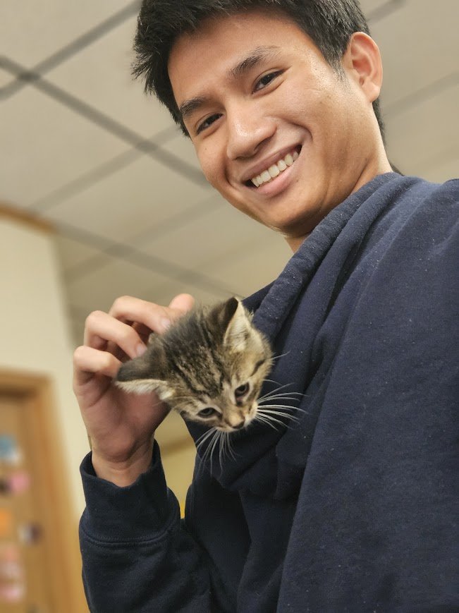 Young man smiling and holding a small tabby kitten against his chest indoors.