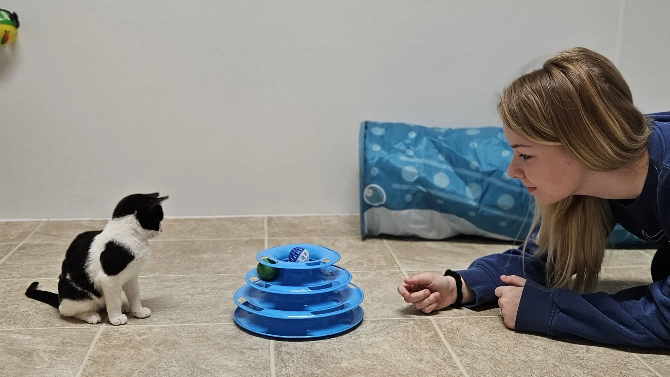 A woman and a black and white kitten playing with a ball and a toy racetrack on the floor in a room with tiled flooring and a plain wall.