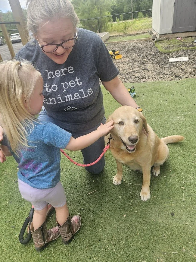 A young girl in a blue shirt and gray shorts pets a smiling golden retriever sitting while a woman kneels besides them, wearing glasses and a T-shirt that says 'here to pet animals', in an outdoor area with a fence and shed in the background.
