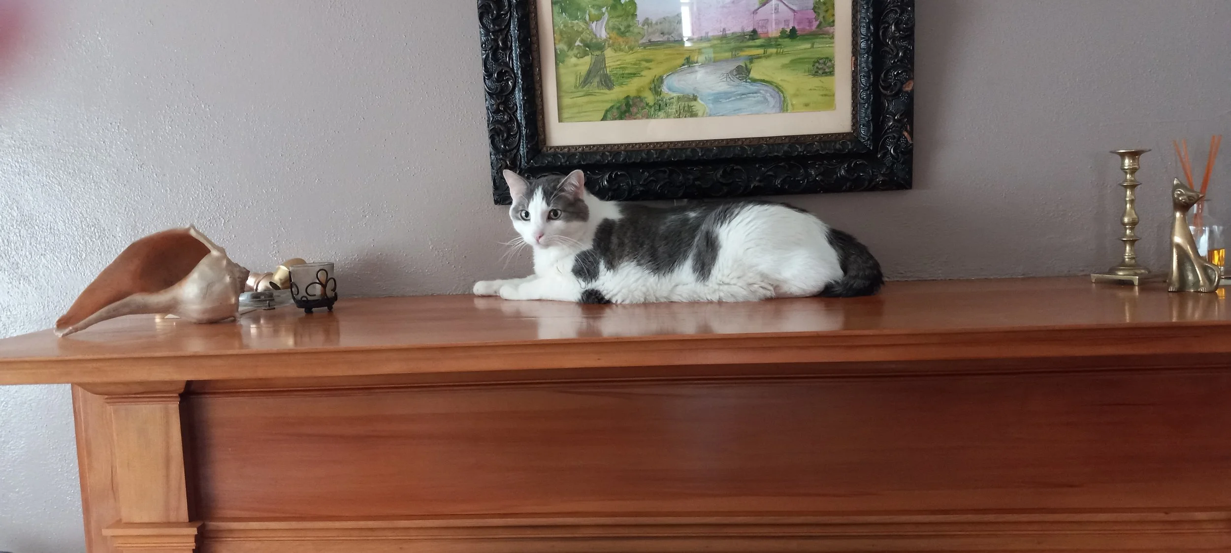 A black and white cat lying on a wooden surface, with decorative items and a framed landscape painting behind it.