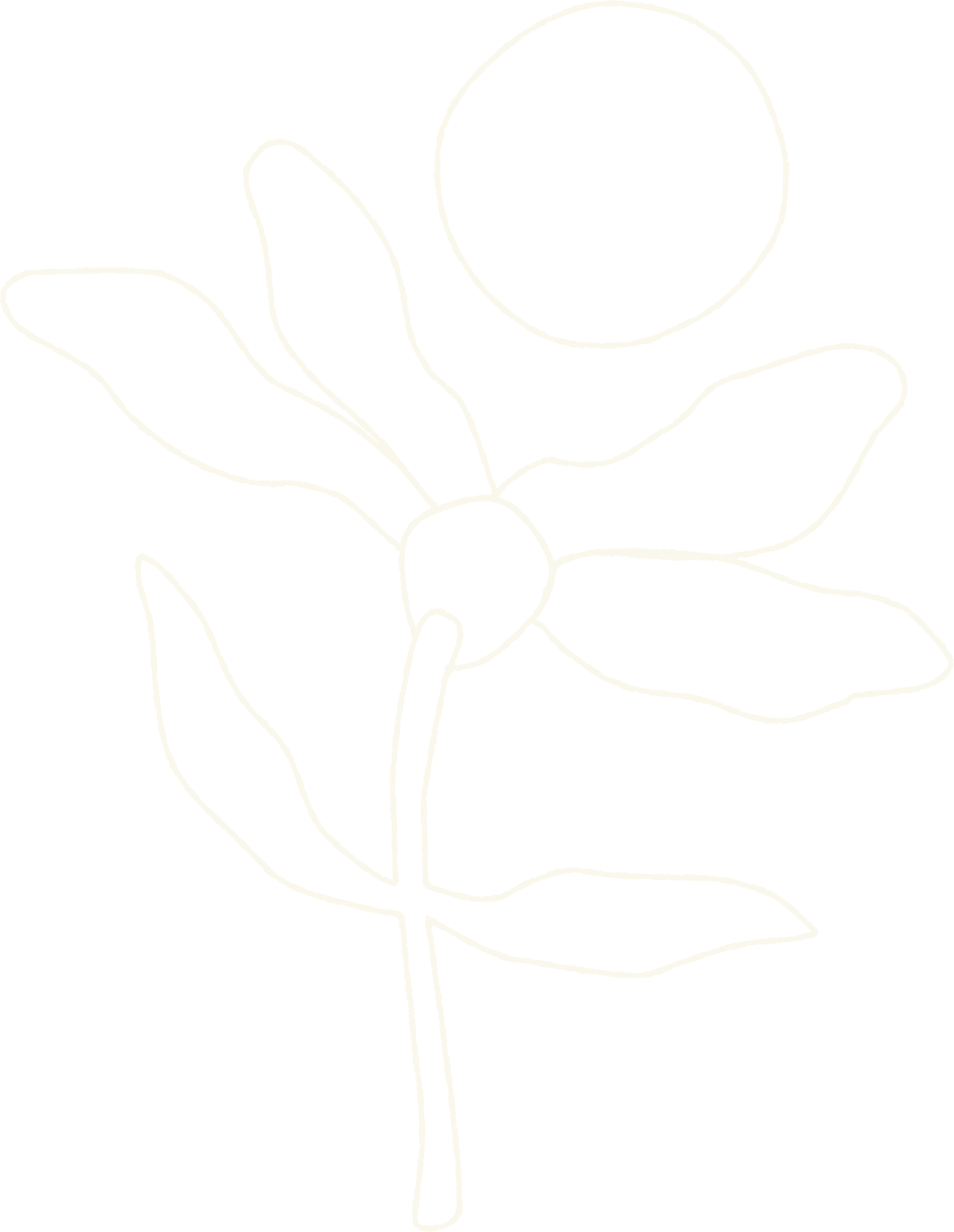 Casa Isla Formentera