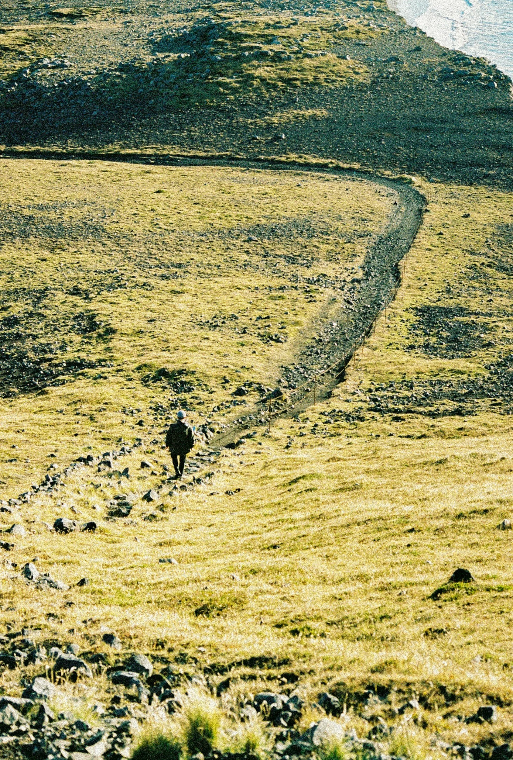 A person walking along a narrow trail in a grassy, rocky landscape with a large hill in the background.