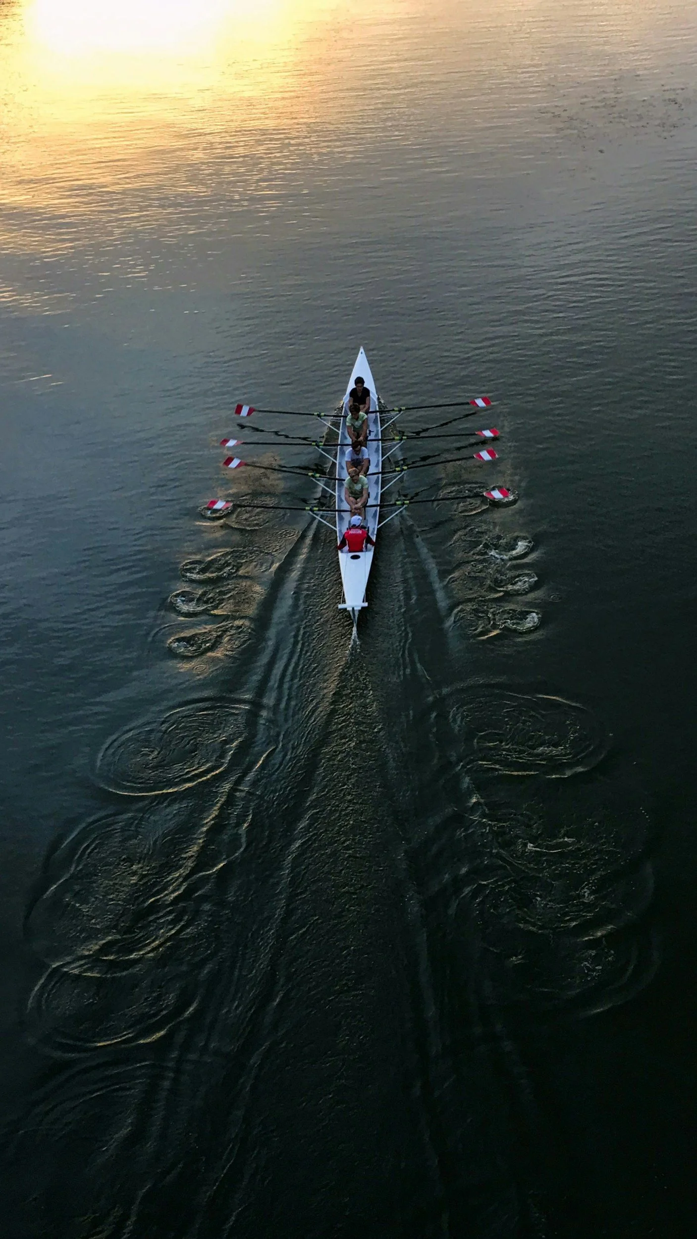 An aerial view of a rowing team with four rowers and a coxswain on a calm lake at sunset, leaving ripples in the water.