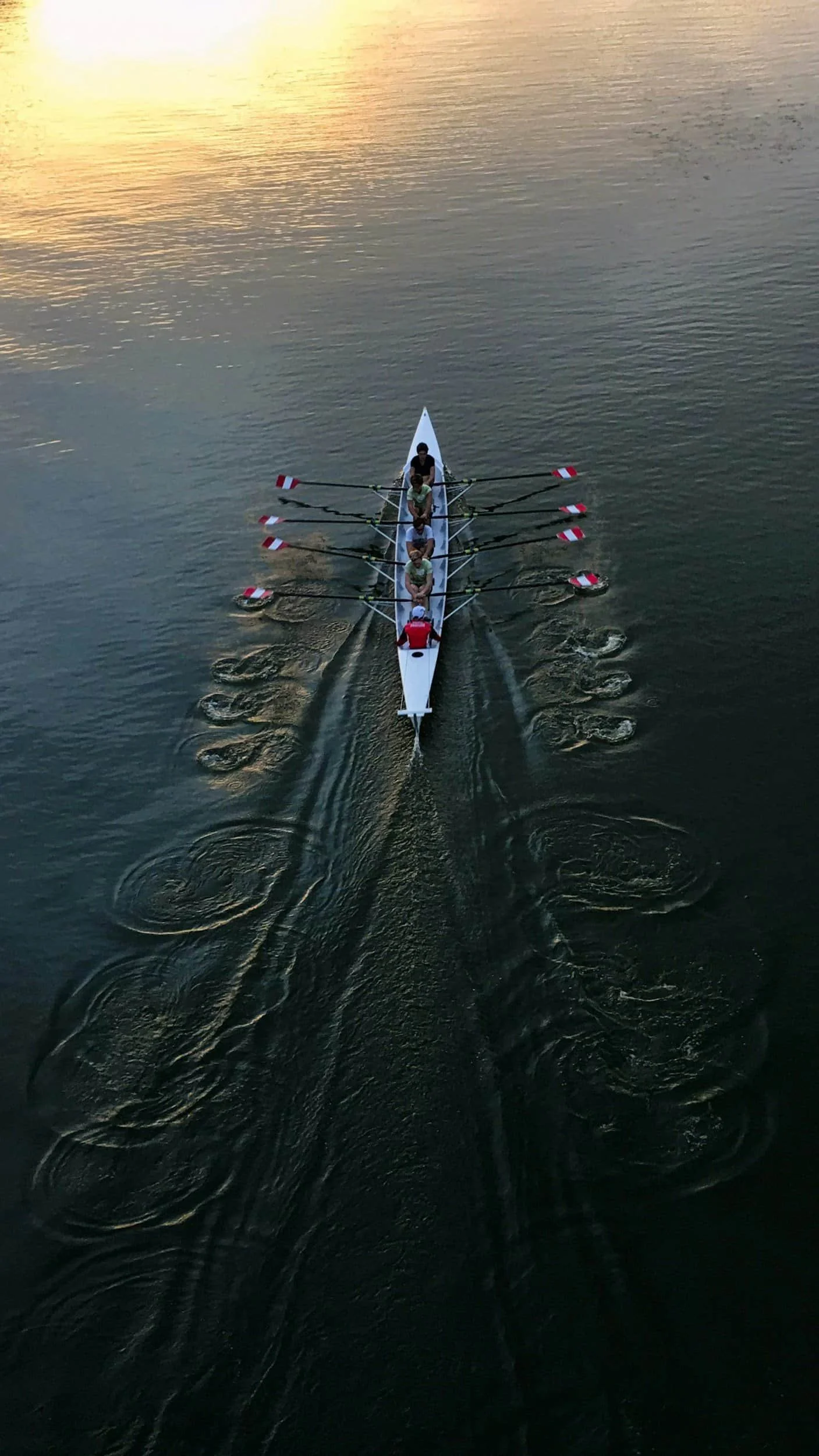 A rowboat with four people rowing across a calm body of water during sunset.