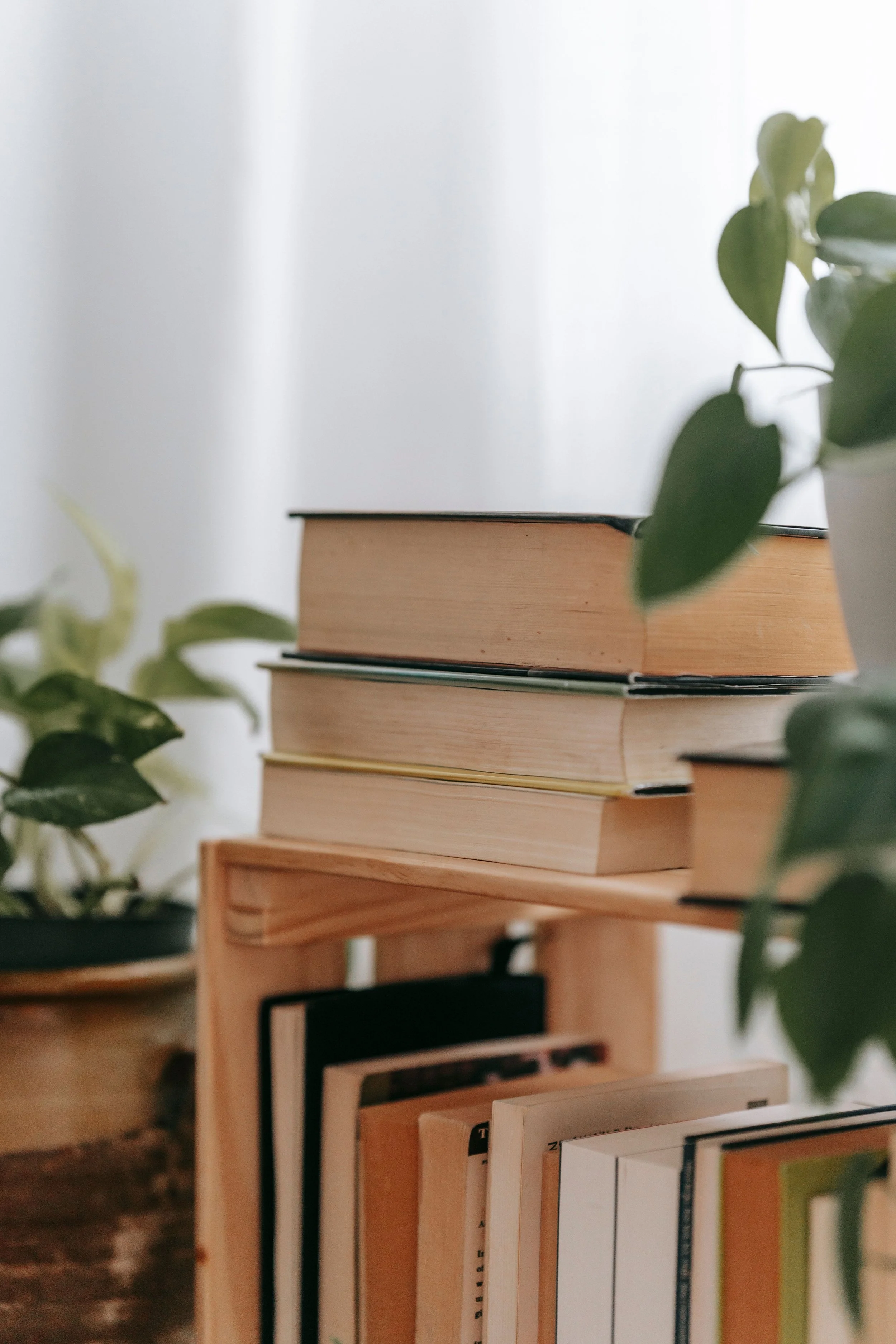 Stack of books on a wooden shelf, with green plants nearby, in a well-lit room.