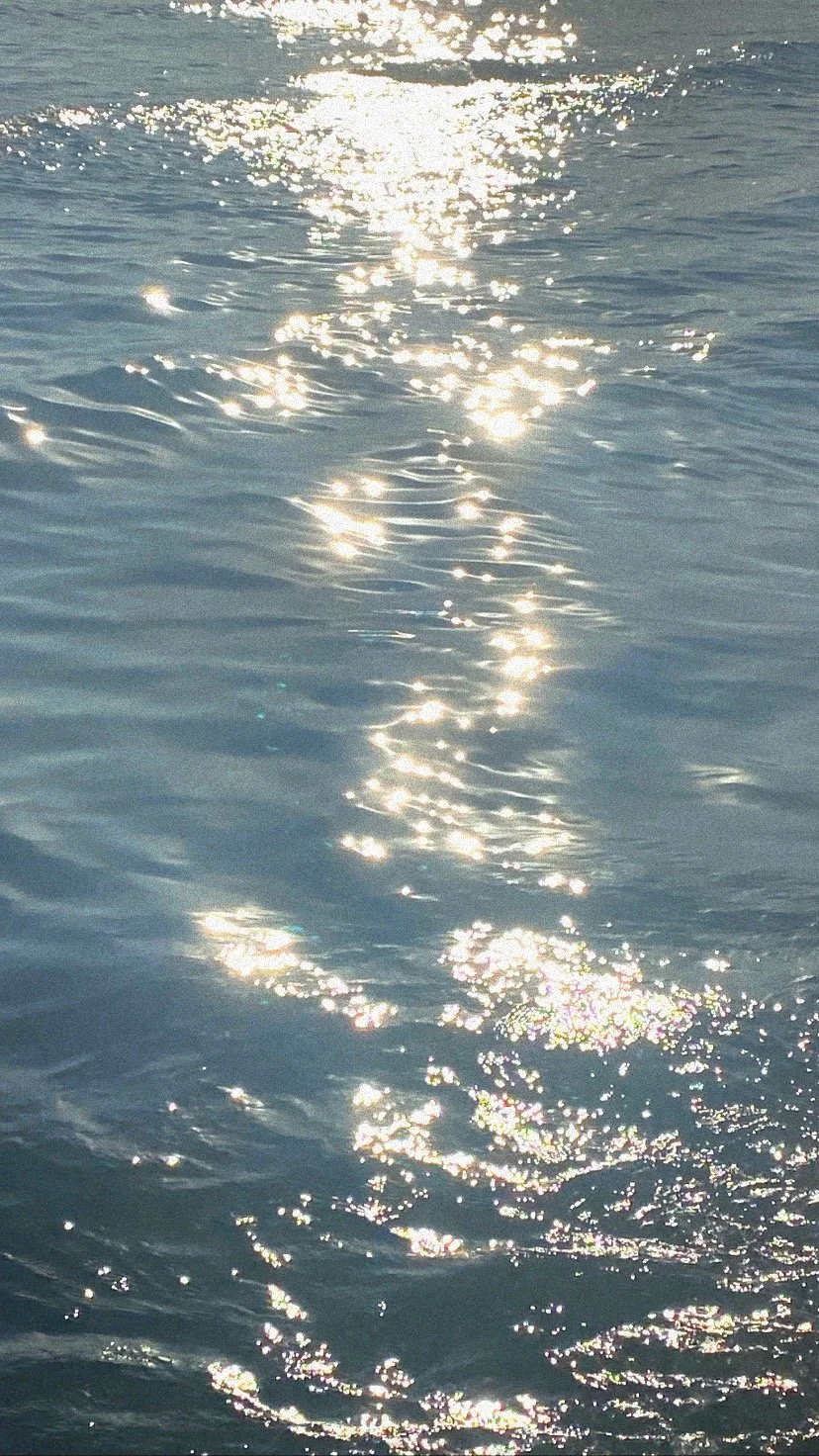 Sunlight reflecting on the surface of a body of water, creating sparkling light patterns.