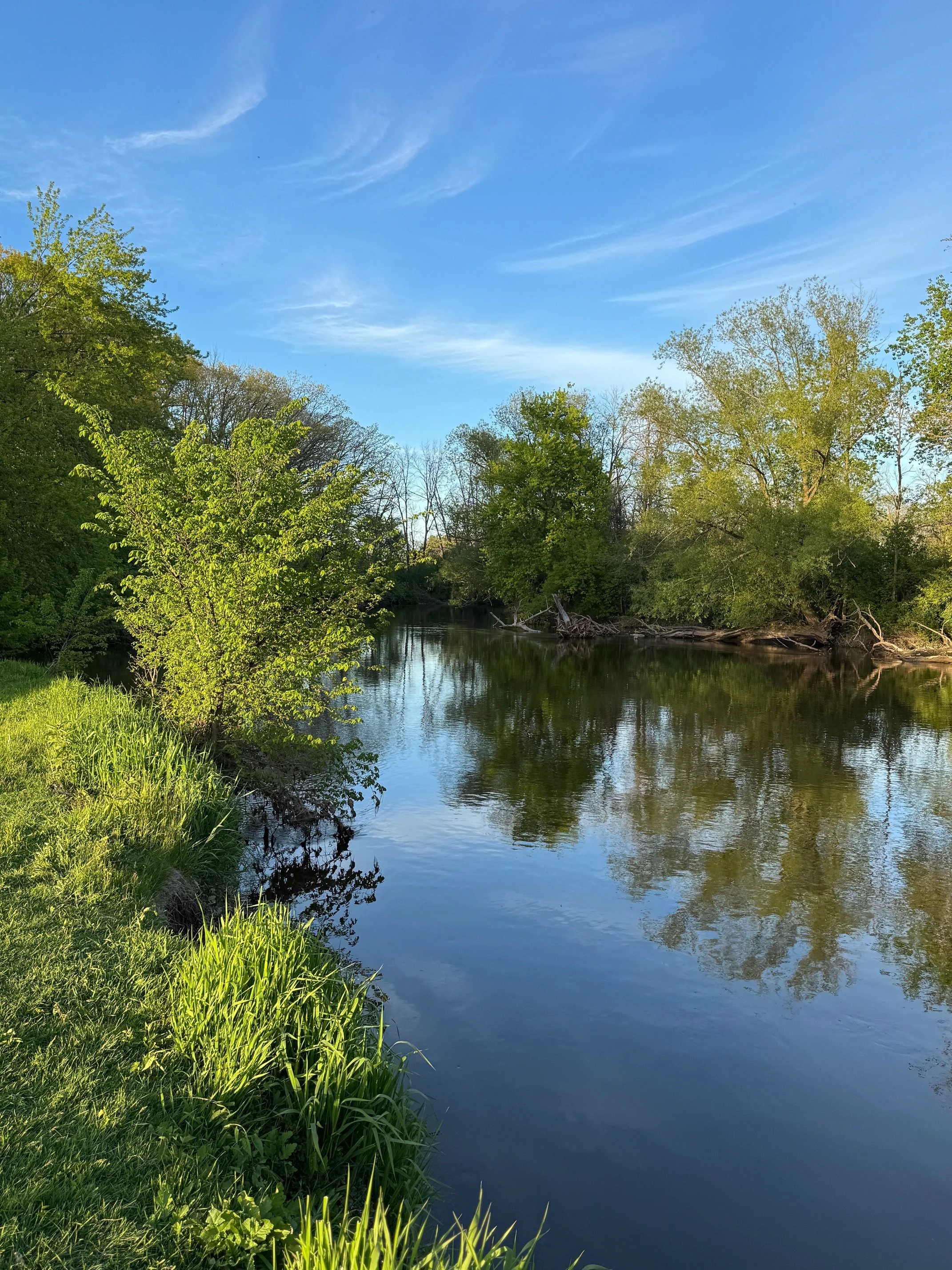 A peaceful river scene with calm water reflecting the trees along the riverbank and a clear blue sky with wispy clouds above.