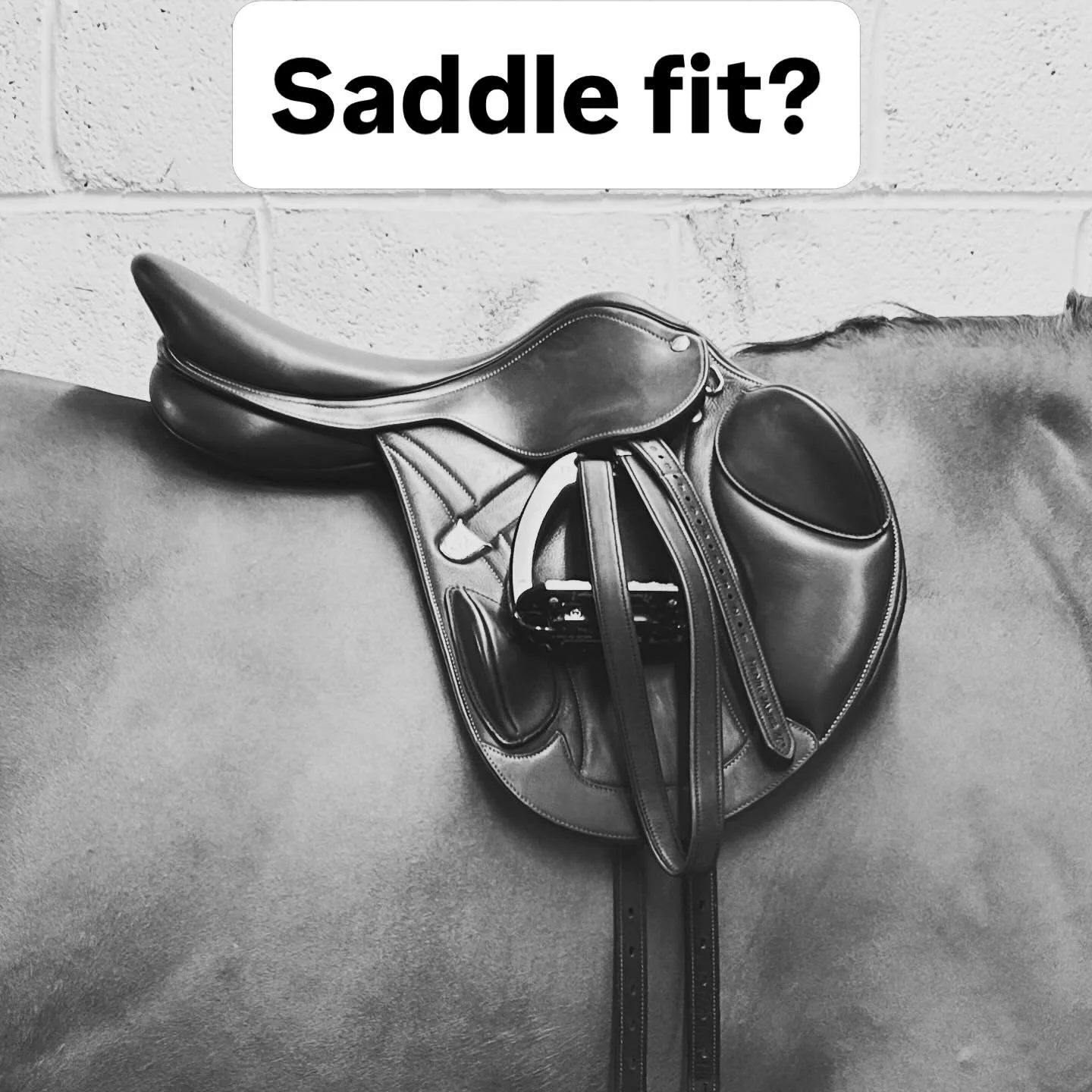 Why Saddle Fit is Non-Negotiable for Your Horse&rsquo;s Health and Performance&hellip;

A poorly fitting saddle is one of the most common &mdash; and most overlooked &mdash; causes of back pain, poor performance, and behavioural problems in horses. Y