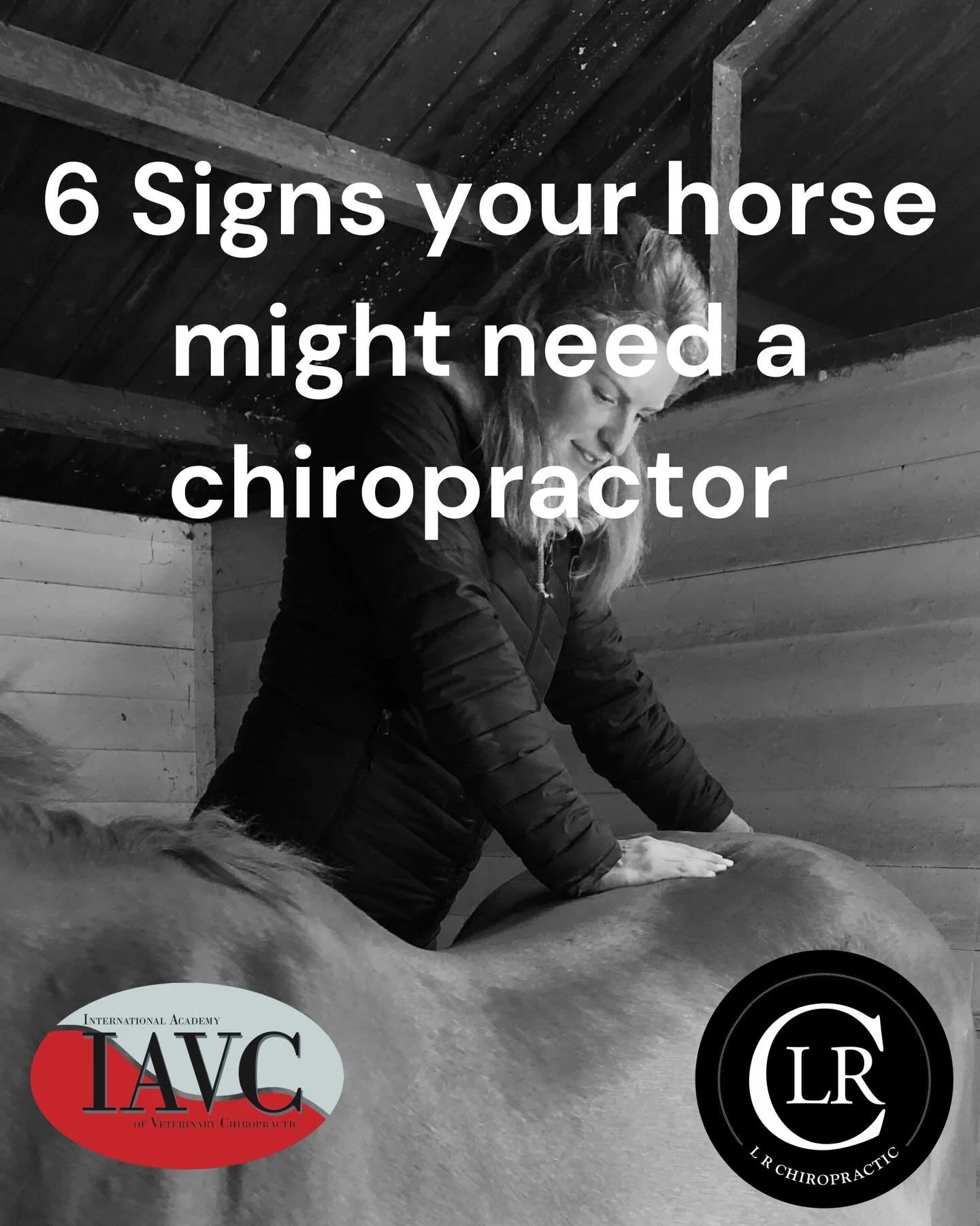Does any of this sound familiar? 🐴
As horses can&rsquo;t tell us when something&rsquo;s wrong, it&rsquo;s easy to miss the early signs of musculoskeletal discomfort &mdash; until it starts showing up in their work or behaviour.
I&rsquo;m Lucy, an eq