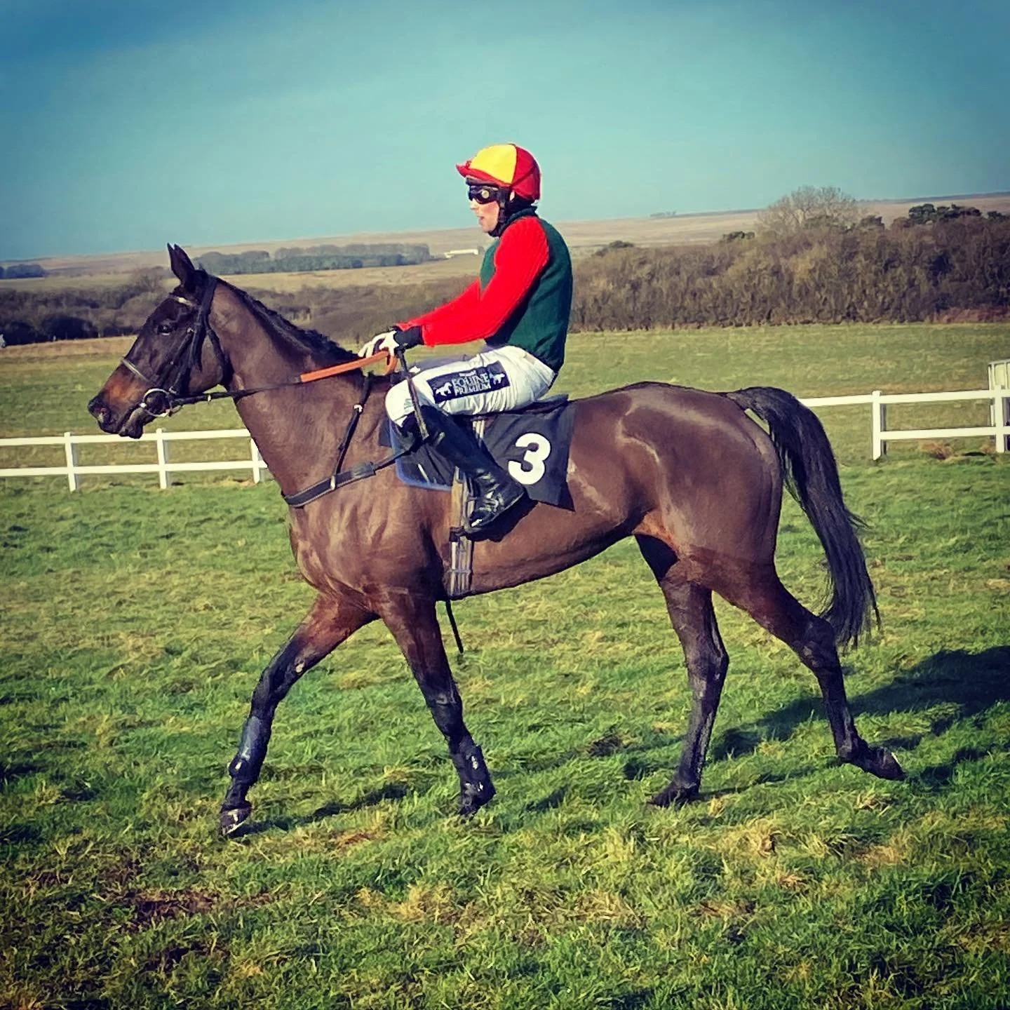 WINNER! Beautiful day at Larkhill today watching sponsored horse Fleur Du Pommier win her second race having won her maiden race at the beginning of the month. Great trainer @harrietwaight and her team @lizlyalloutside and @Vicky simons88