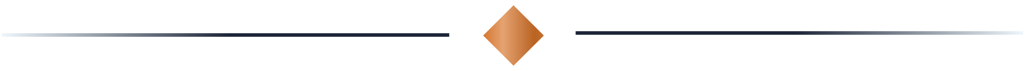 A horizontal banner with a central diamond shape, a light blue stripe at the bottom, and a dark blue and gray design on the right side.