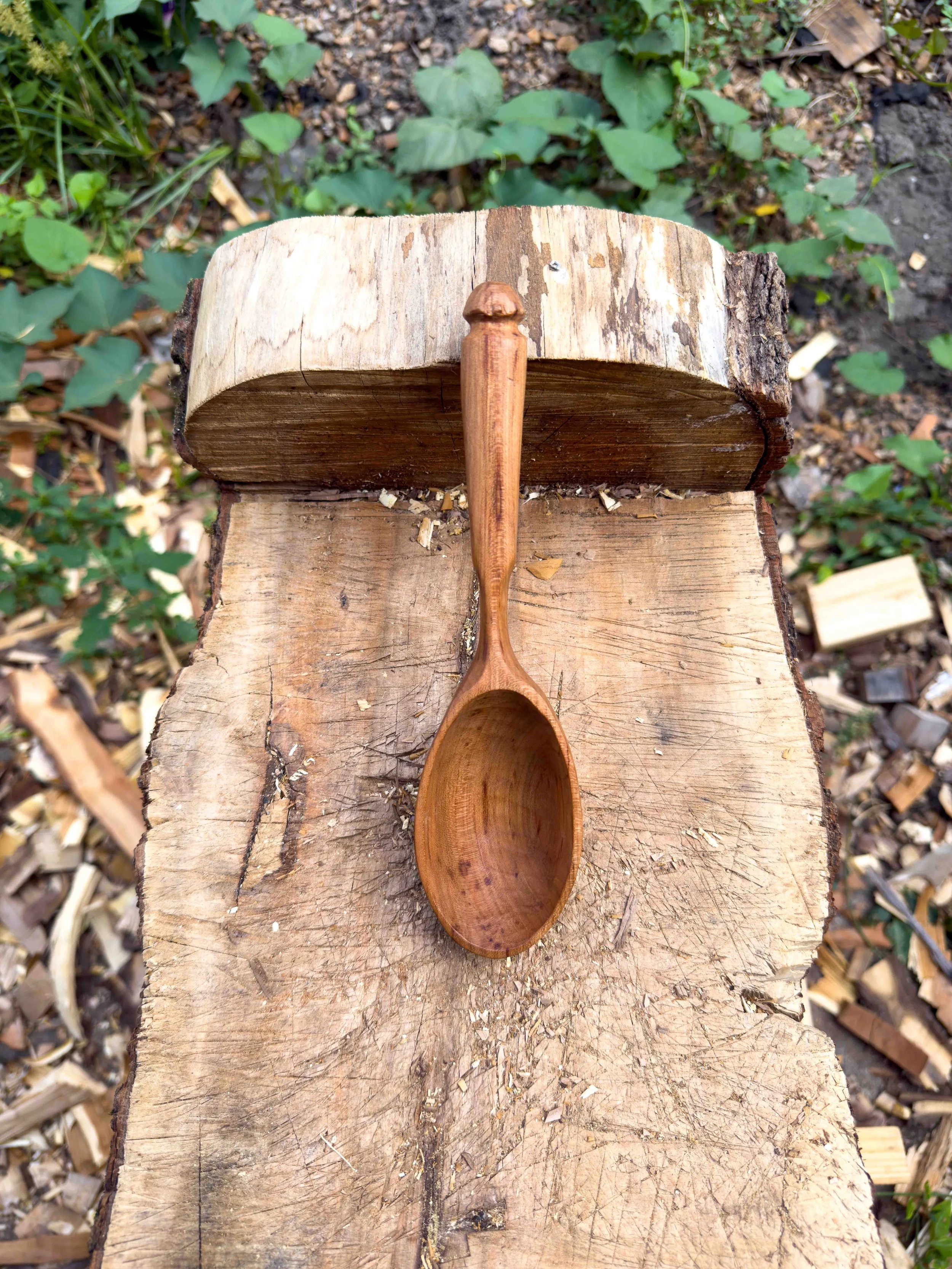 Serving Scoop - Locally sourced Black Cherry