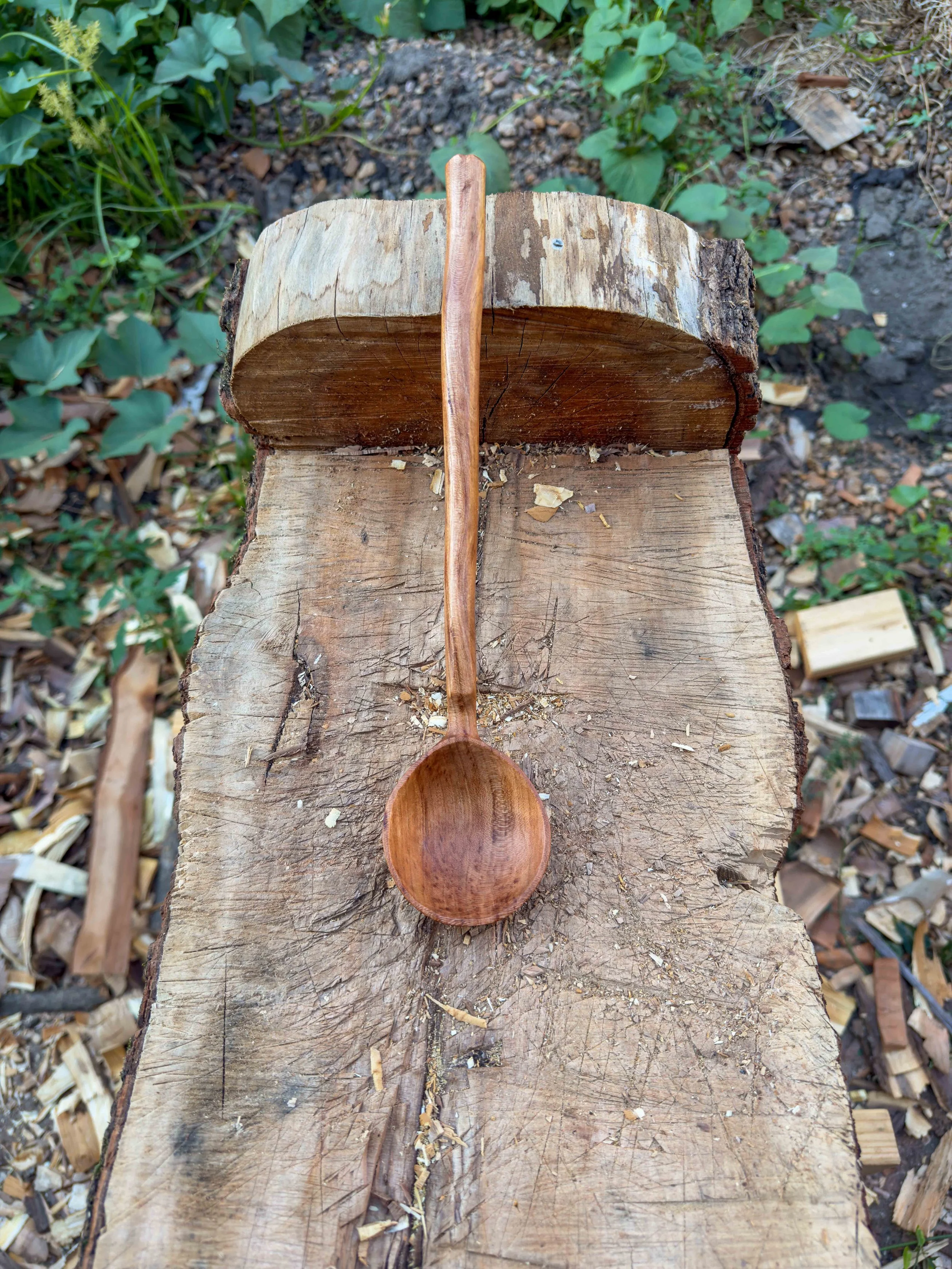 Serving Ladle - Locally sourced Black Cherry