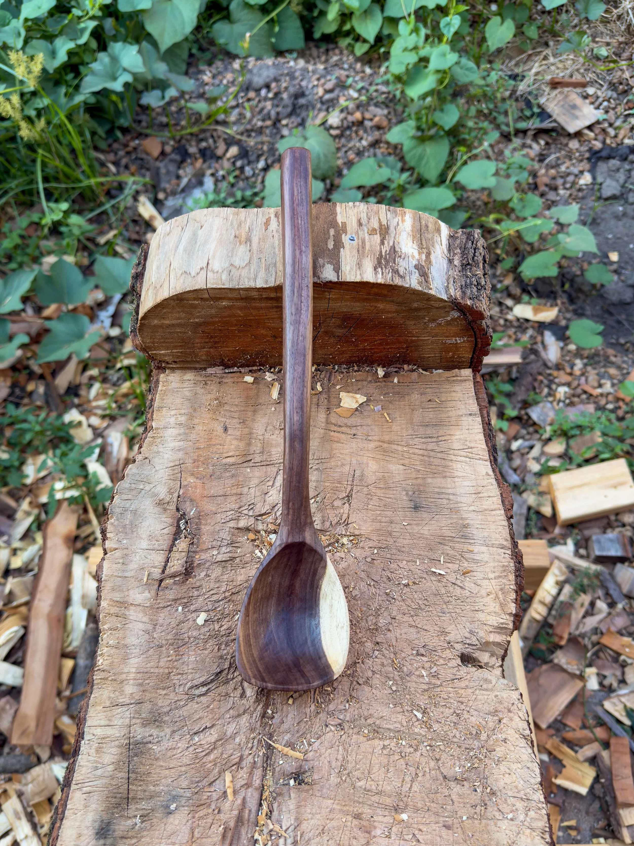 Cooking Ladle- Locally sourced Walnut
