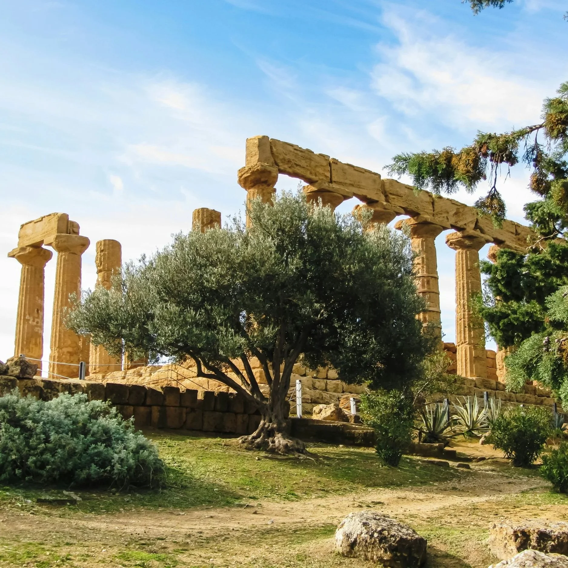 Online Ancient Greek Course | Level 1: Foundations of Attic Greek (Athenaze I–VII) Spring 2027