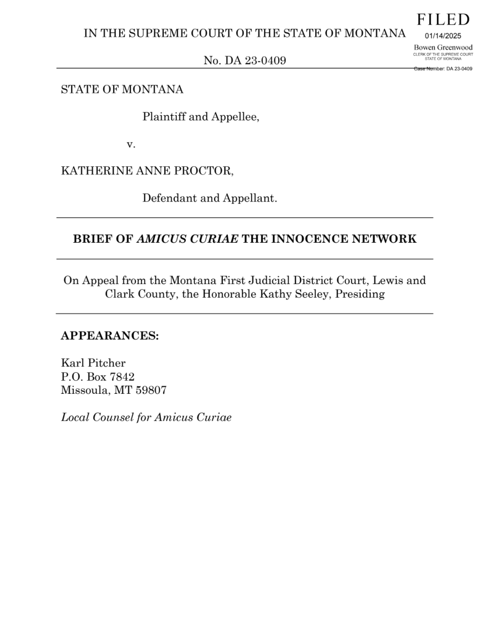 The first page of the amicus brief in Katherine Proctor's case.