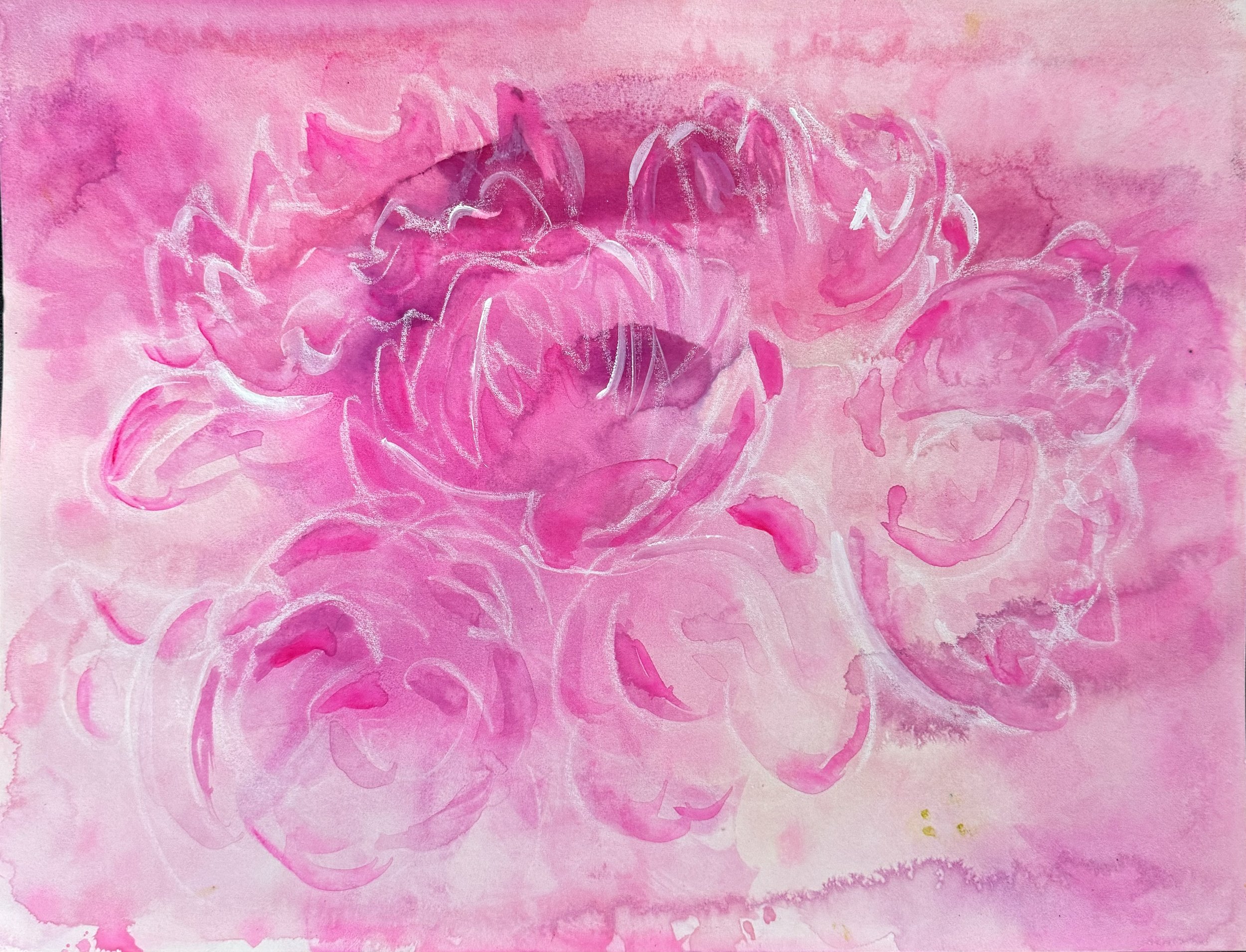 peonies - available - 16” x 12” - watercolor and conté crayon on Arches hot-pressed paper - metal frame with double mat