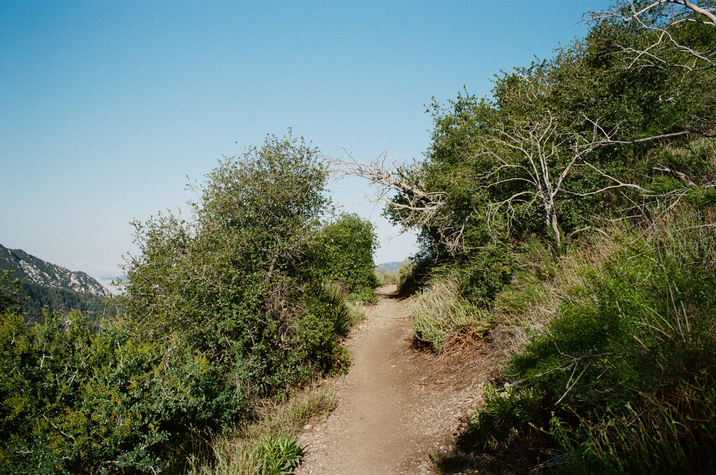 260503000666020028.jpg