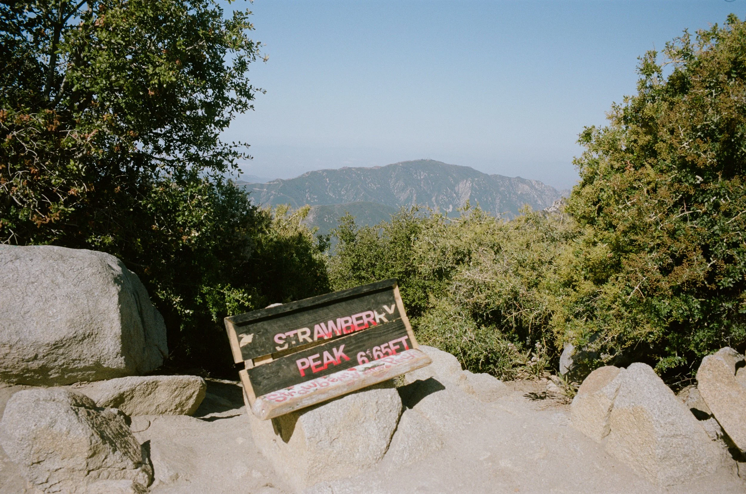 260503000666030017.jpg