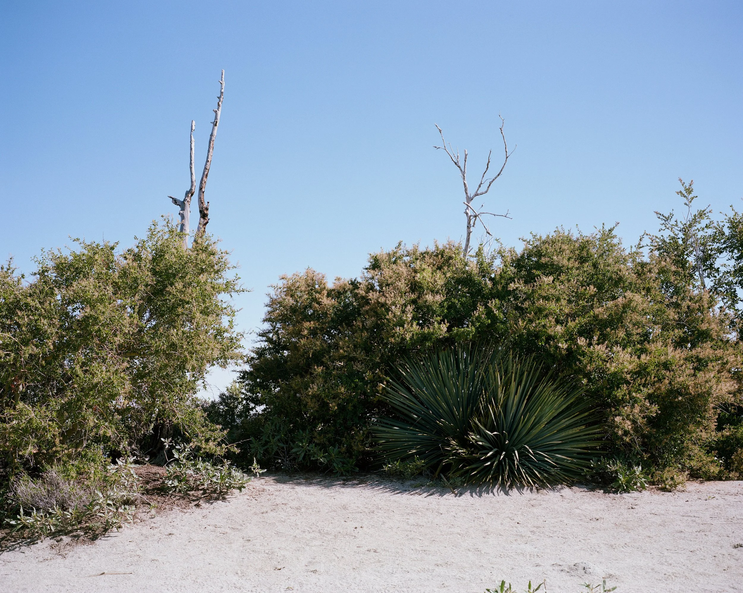 260503000666070010.jpg