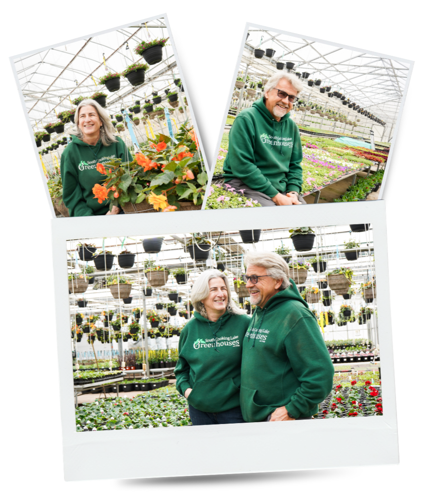 Three people inside a greenhouse filled with hanging and potted flowering plants, wearing green hoodies with the logo "South Cooking Lake Greenhouses," smiling and enjoying their time together.