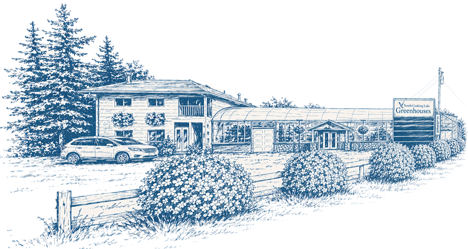 Illustration of a greenhouse with a building, trees, bushes, and a parked car in front of it, labeled 'South Cooking Lake Greenhouses'.