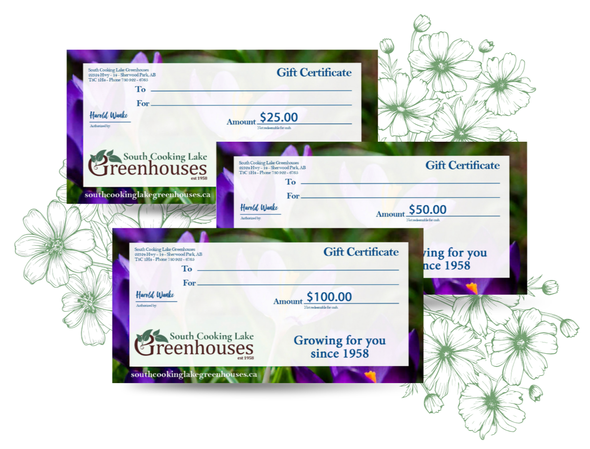 Three gift certificates for South Cooking Lake Greenhouses, valued at $25, $50, and $100, with a purple flower background and green leaves design.