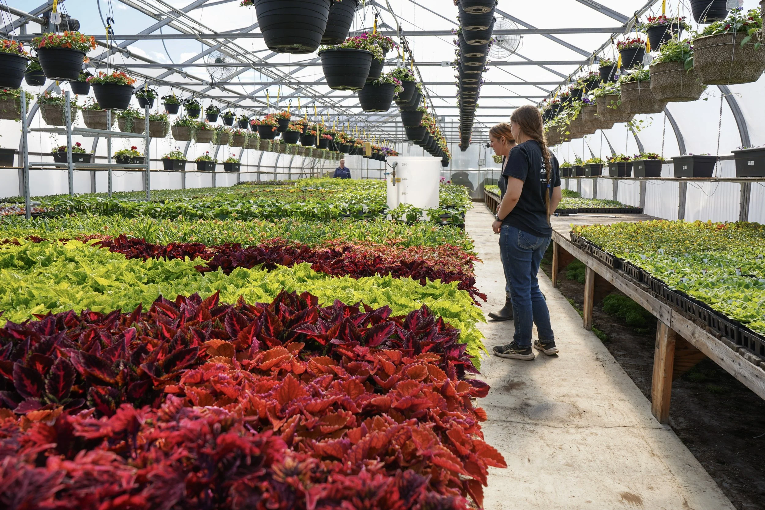People browsing and inspecting plants and flowers inside a greenhouse with hanging pots and potted plants on shelves.