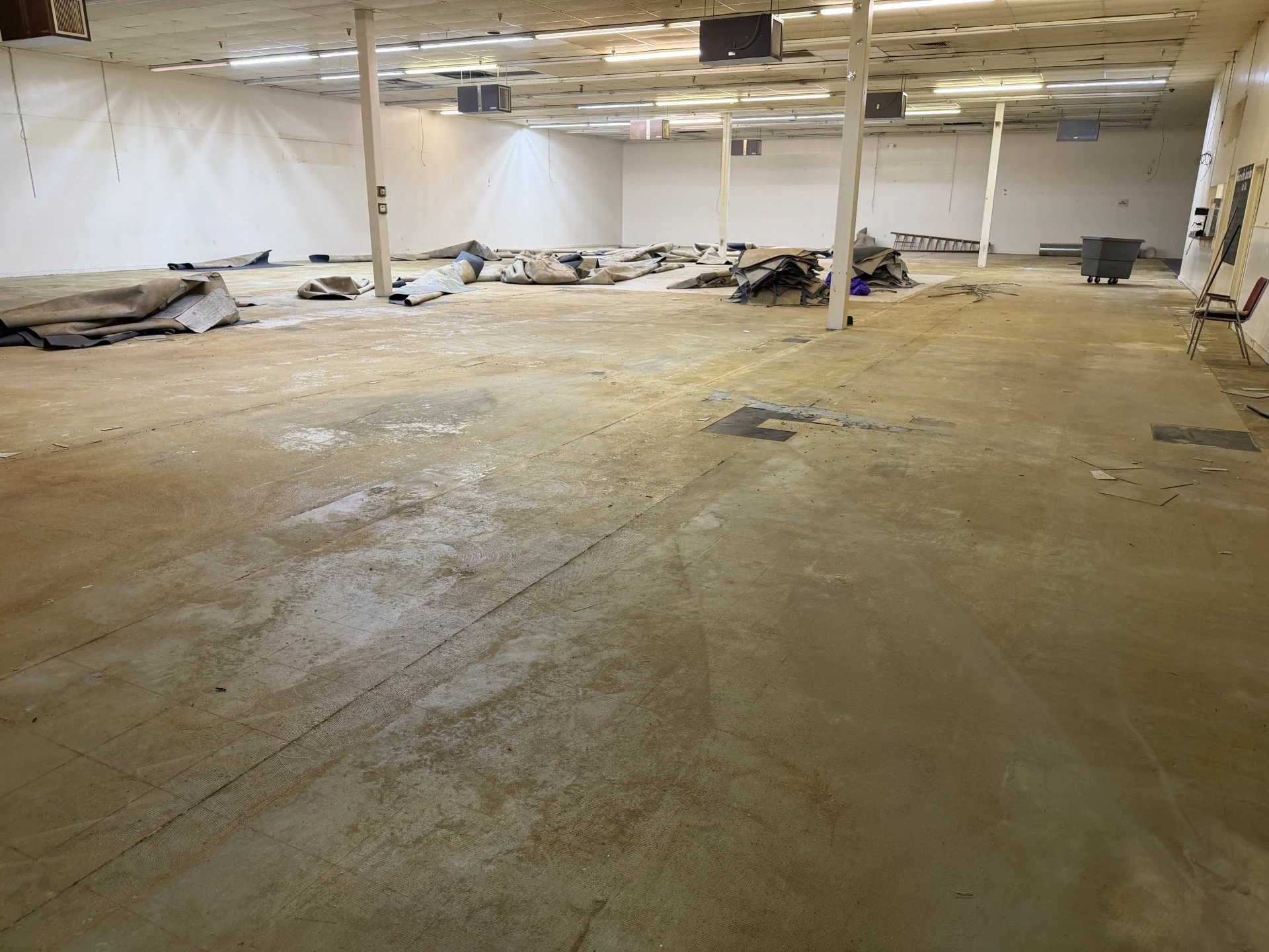 Carpet & Vinyl Flooring Removed