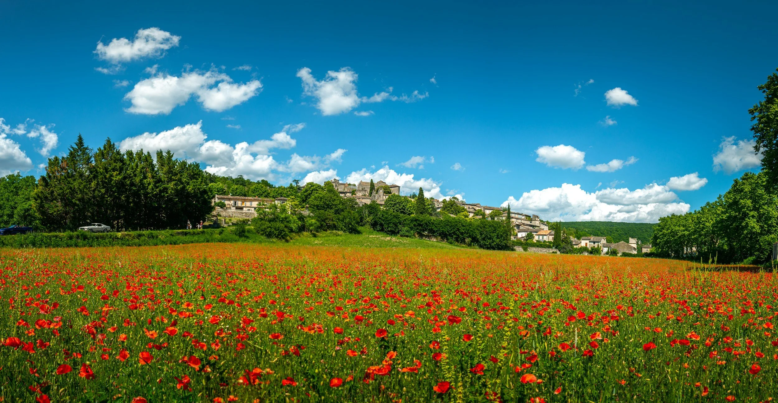A scenic landscape with a field of red poppies, a hillside village with stone buildings, lush green trees, and a bright blue sky with scattered white clouds.