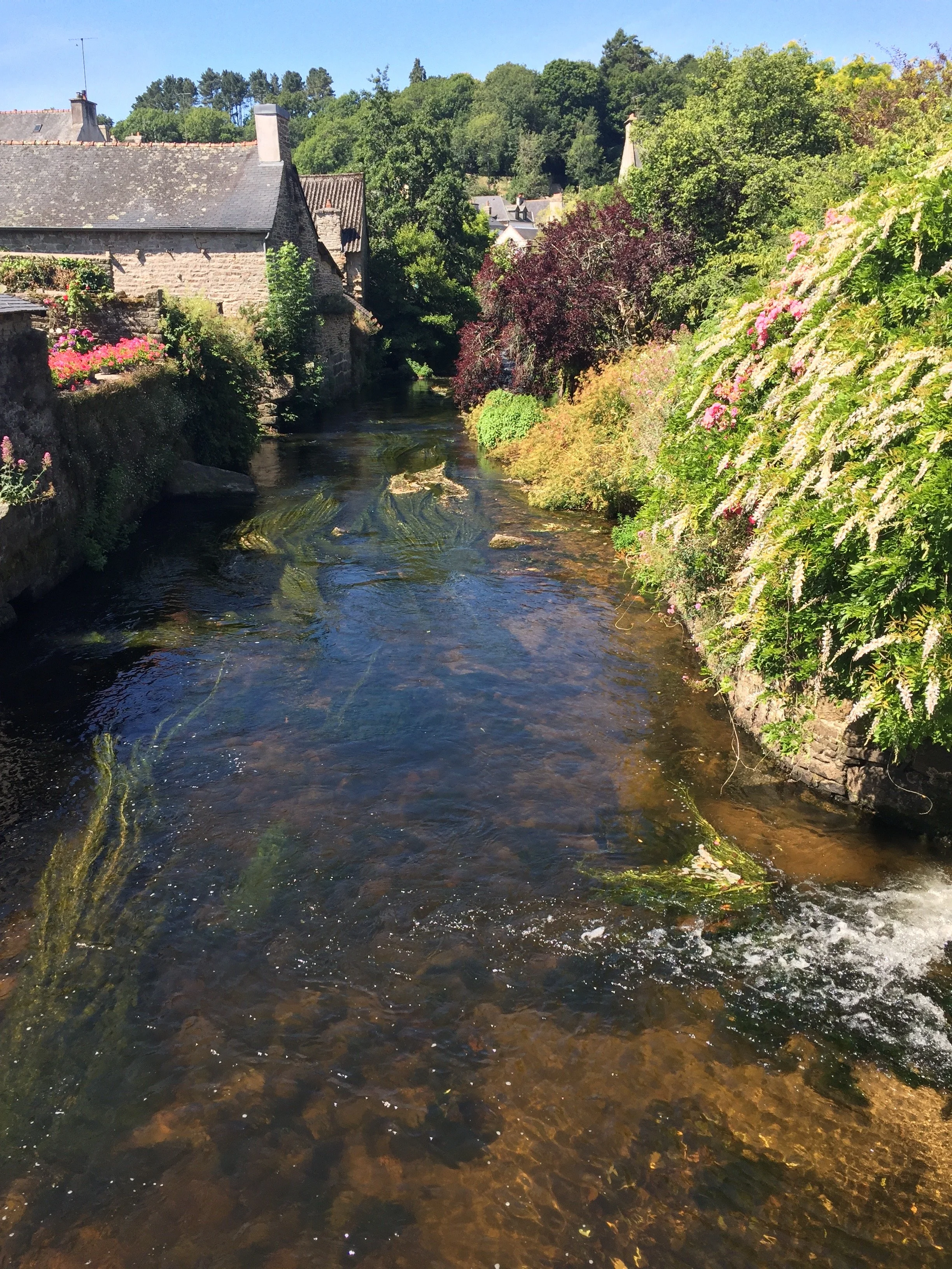 A small river, L'Aven, flowing through the artist village of Pont-Aven, France with stone houses and lush green trees and plants along the banks.