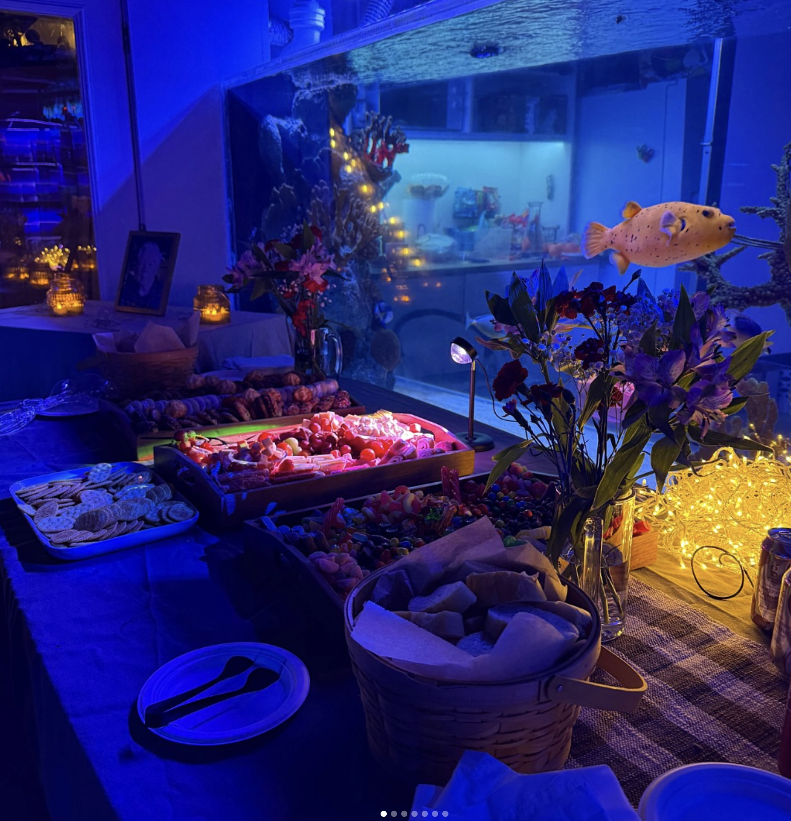 Pizza &amp; Reefs @ Island Fish &amp; Scale