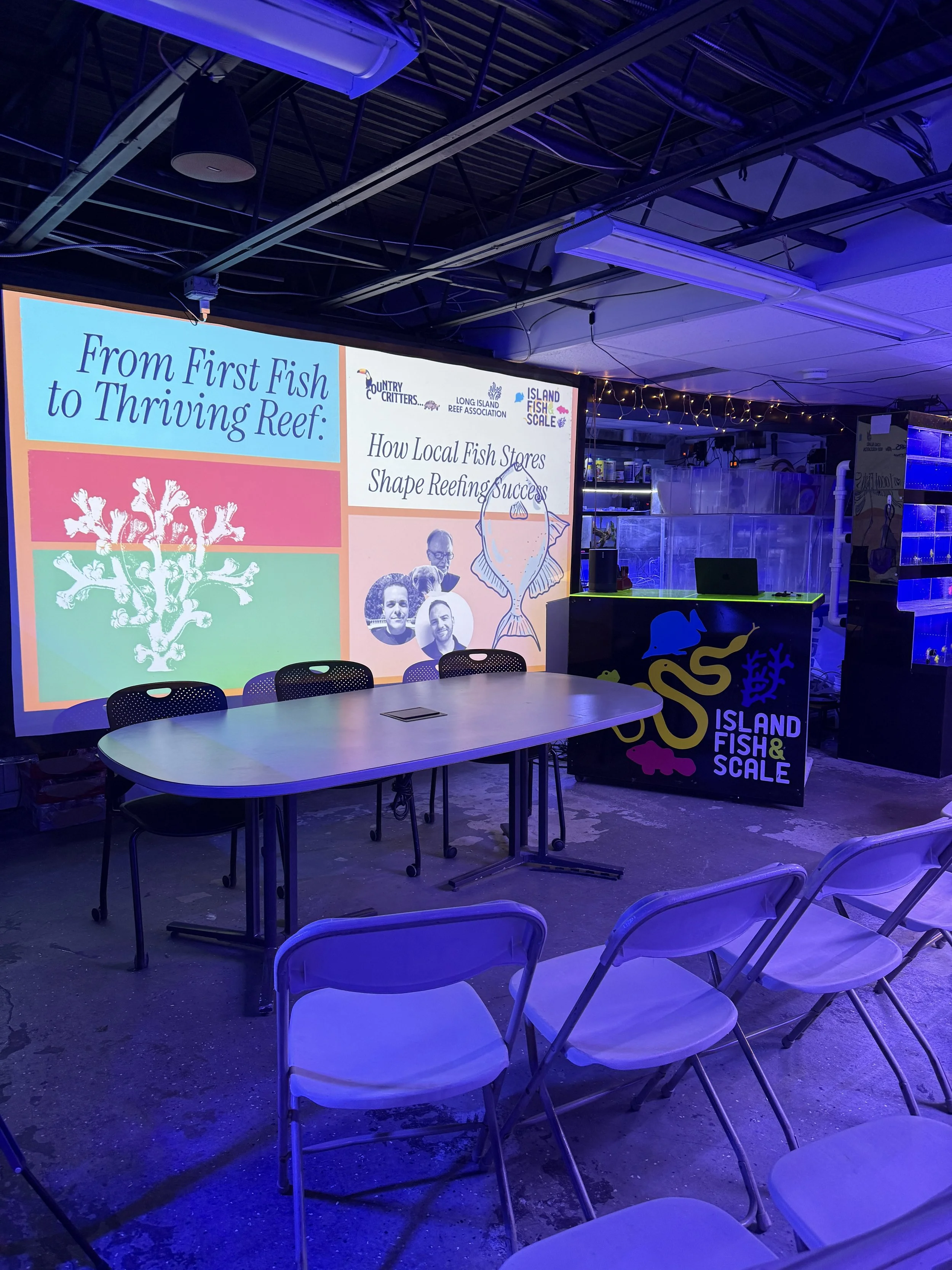 From First Fish to Thriving Reef: A Table-Talk with Local IF&S Owners