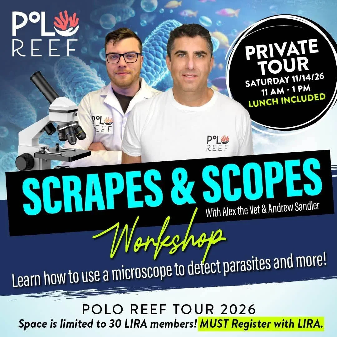 Scrapes & Scopes