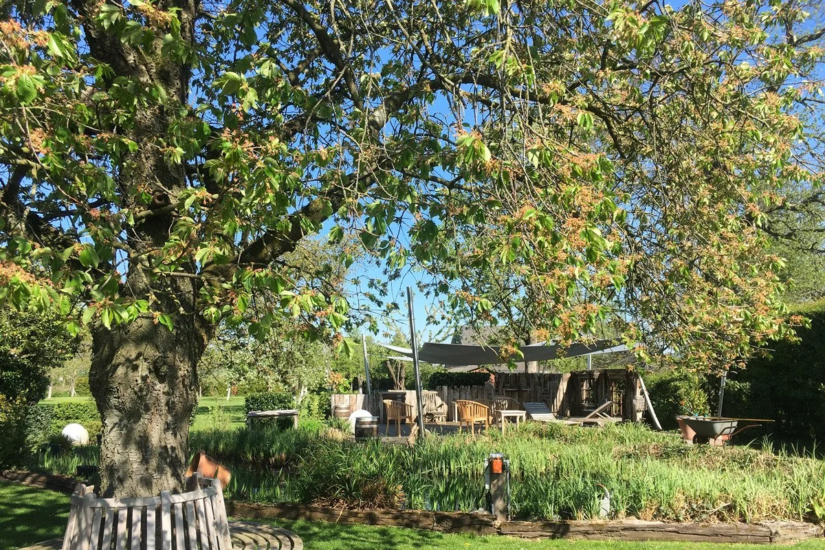 Blick auf Kirschbaum und Plattform der Retreats im Haus Schreiber am Niederrhein.