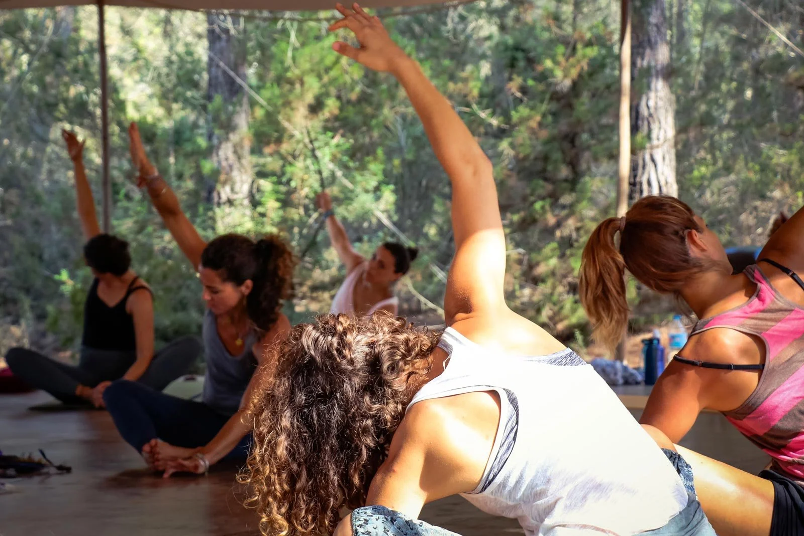Menschen beim Yoga im Wald, sitzend auf Matten, mit gestreckten Armen, im Naturumfeld mit Bäumen im Hintergrund.