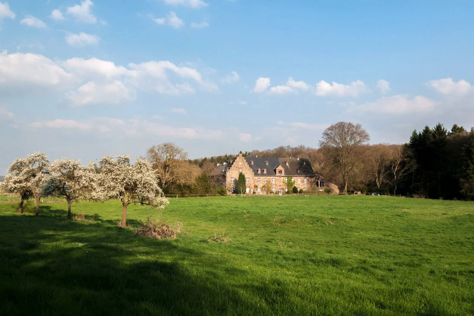 Blick über eine grüne Wieser auf das malerische Kloster Steinfeld in der Eifel.