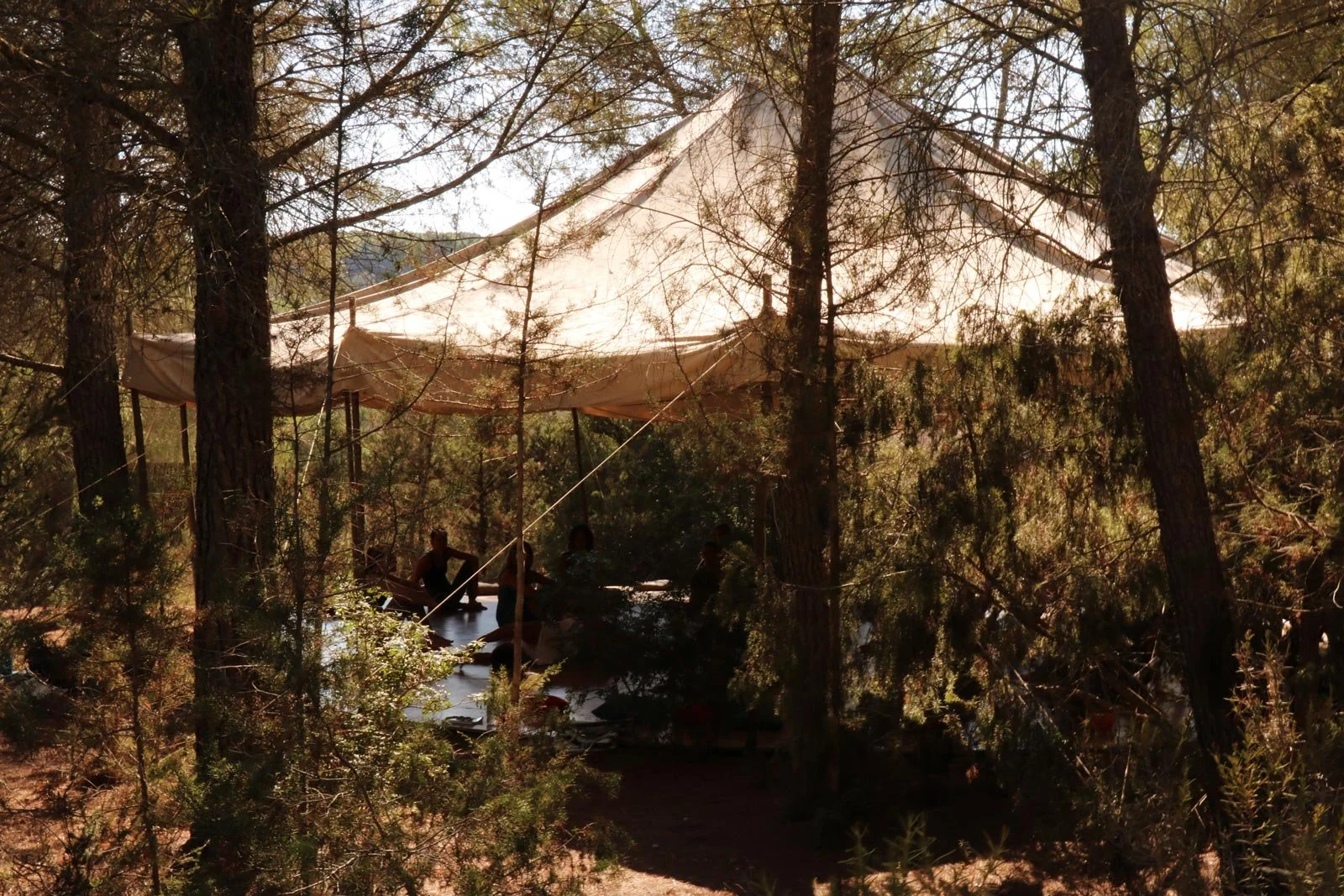Eine Plattform mit Zeltdach in einem Wald, als Platz für Retreats auf Ibiza.