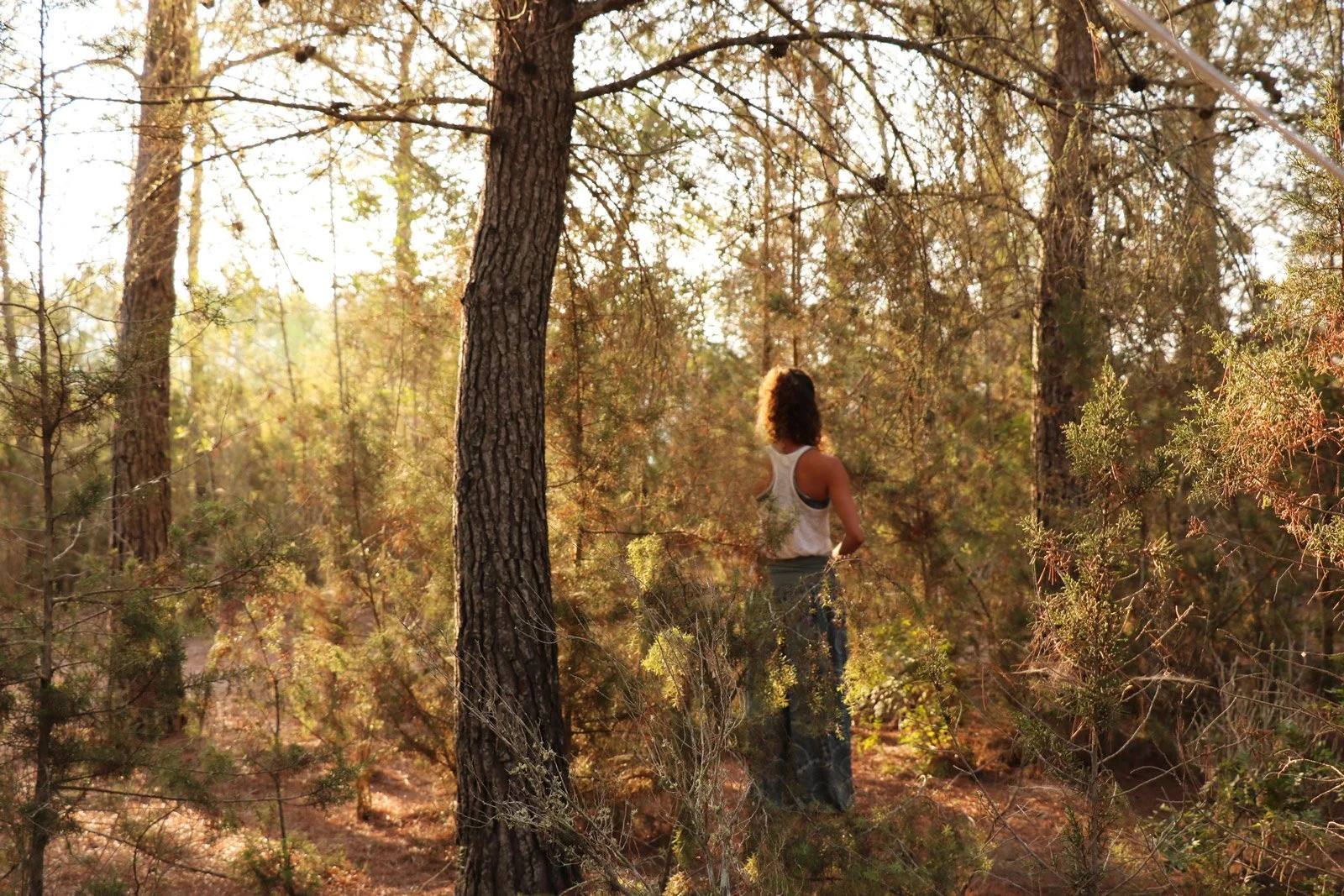 Stimmungsvolles Bild einer Retreat-Teilnehmerin im Wald von Ibiza, der Sonne zugewandt.