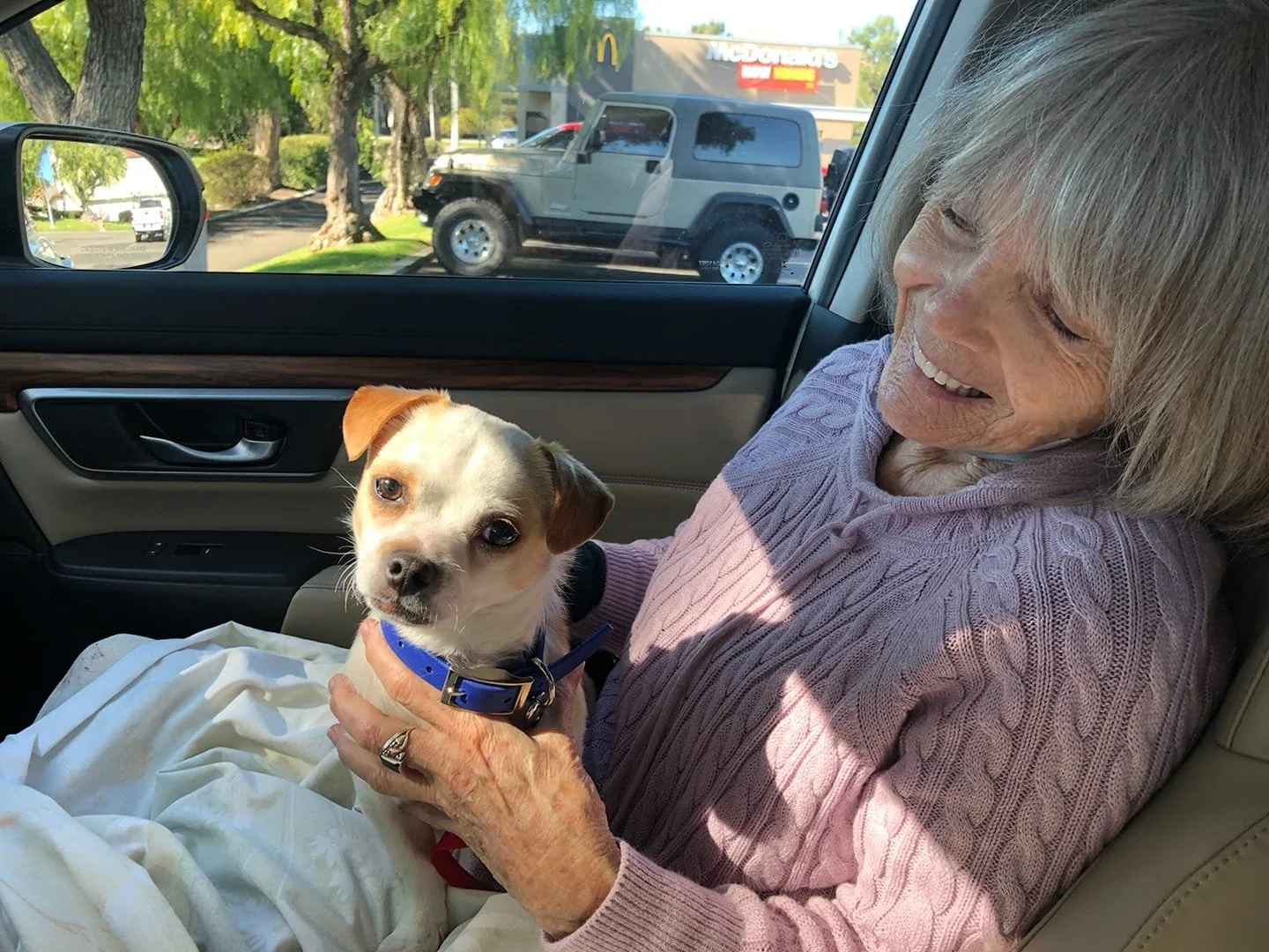 An elderly woman inside a car holding a small puppy with a blue collar, smiling at the puppy.