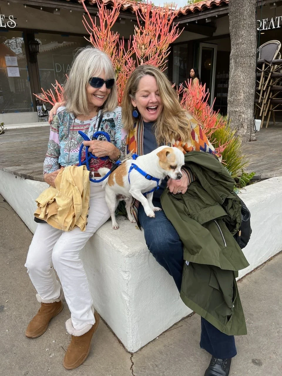 Two women sitting on a white concrete bench outside a building, smiling and laughing, with a small white dog with brown spots on their laps. One woman has gray hair, wearing sunglasses, a colorful patterned shirt, white pants, and brown boots. The other woman has blonde hair, wearing a colorful sweater over a dark shirt, dark jeans, and black shoes, holding a green jacket. There are pink and orange plants behind them, a tree trunk to the right, and stacked chairs to the far right.